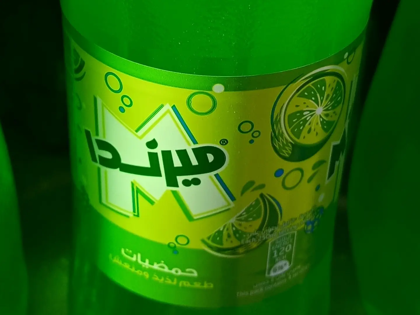 حمضيات صغير