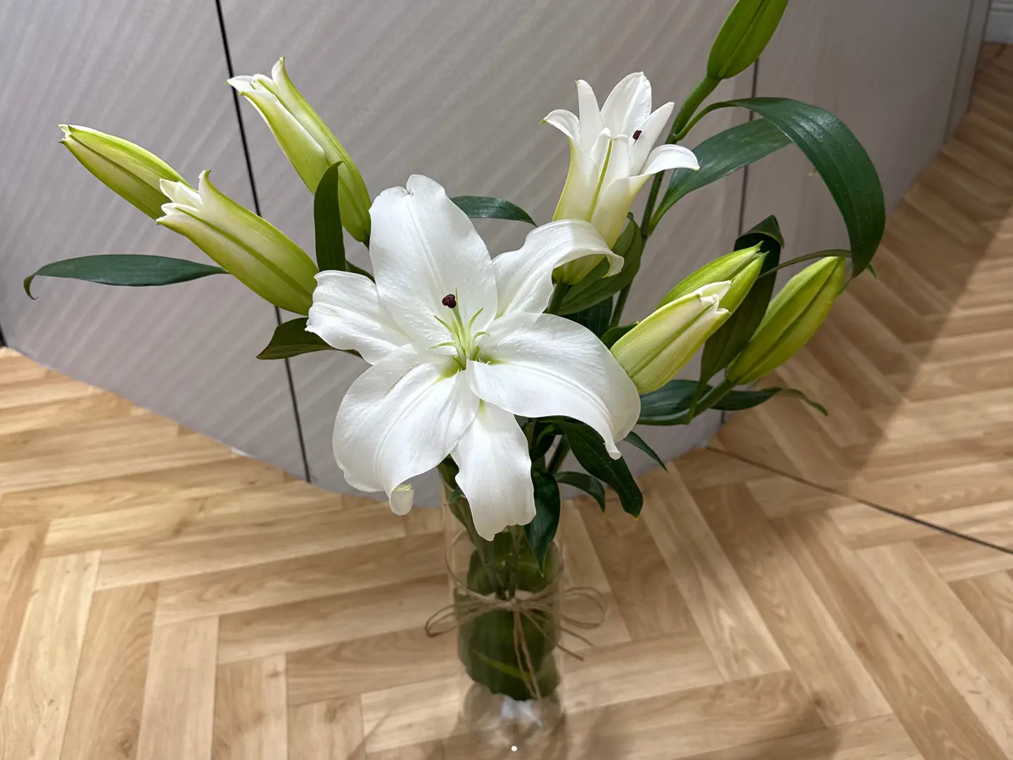 باقة ليليوم ابيض