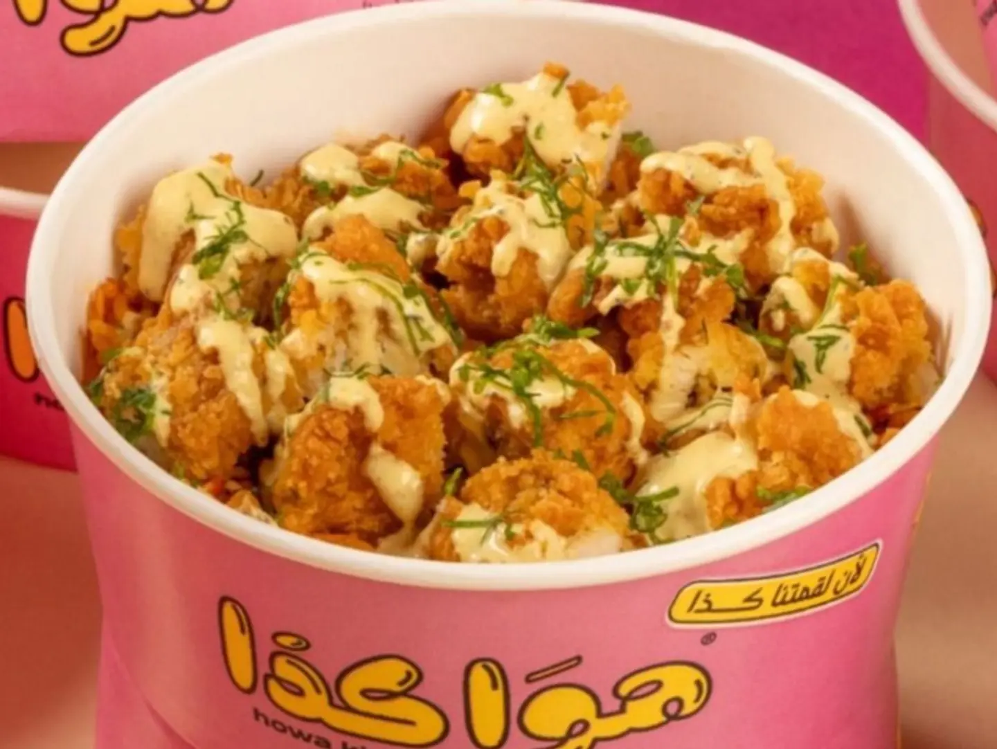 Shish Tawook Dish With Rice