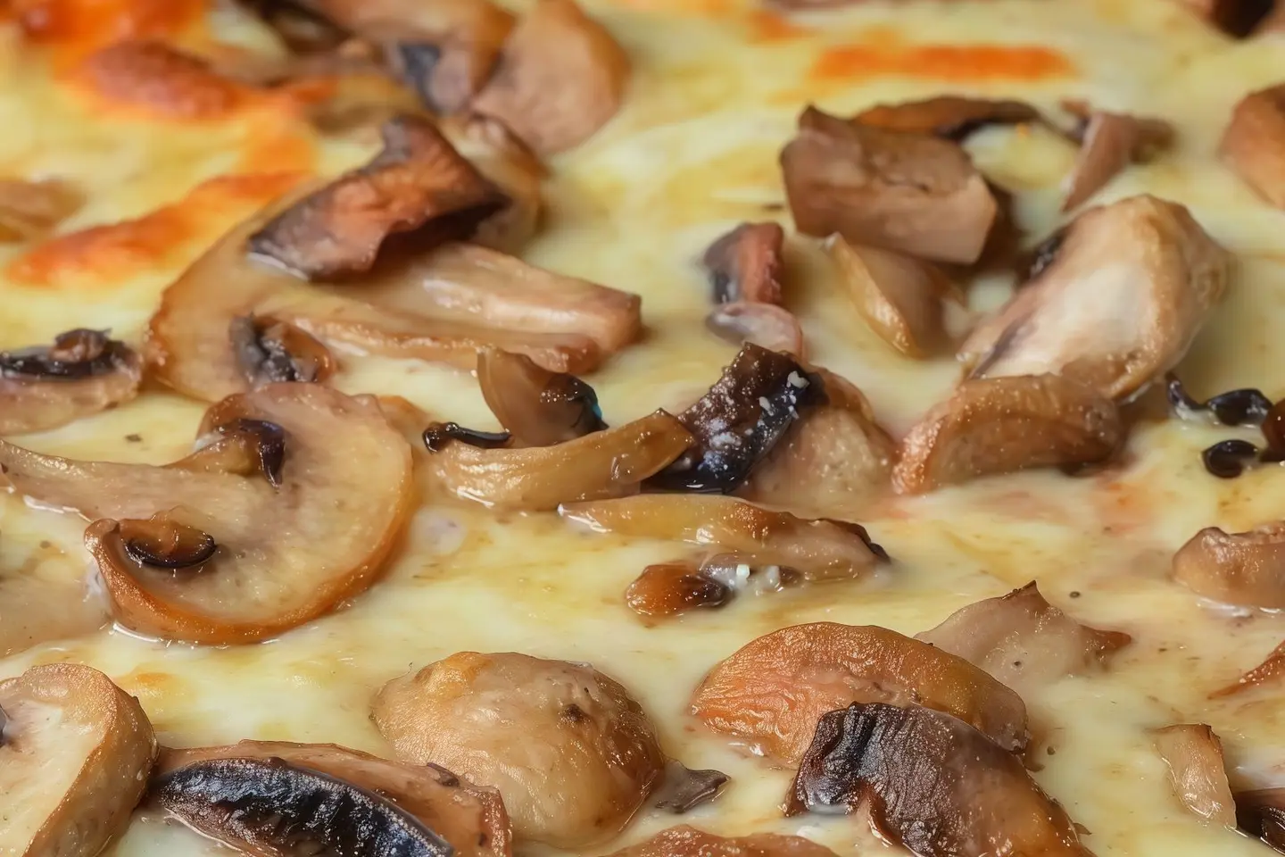 Mushroom Pizza - Large