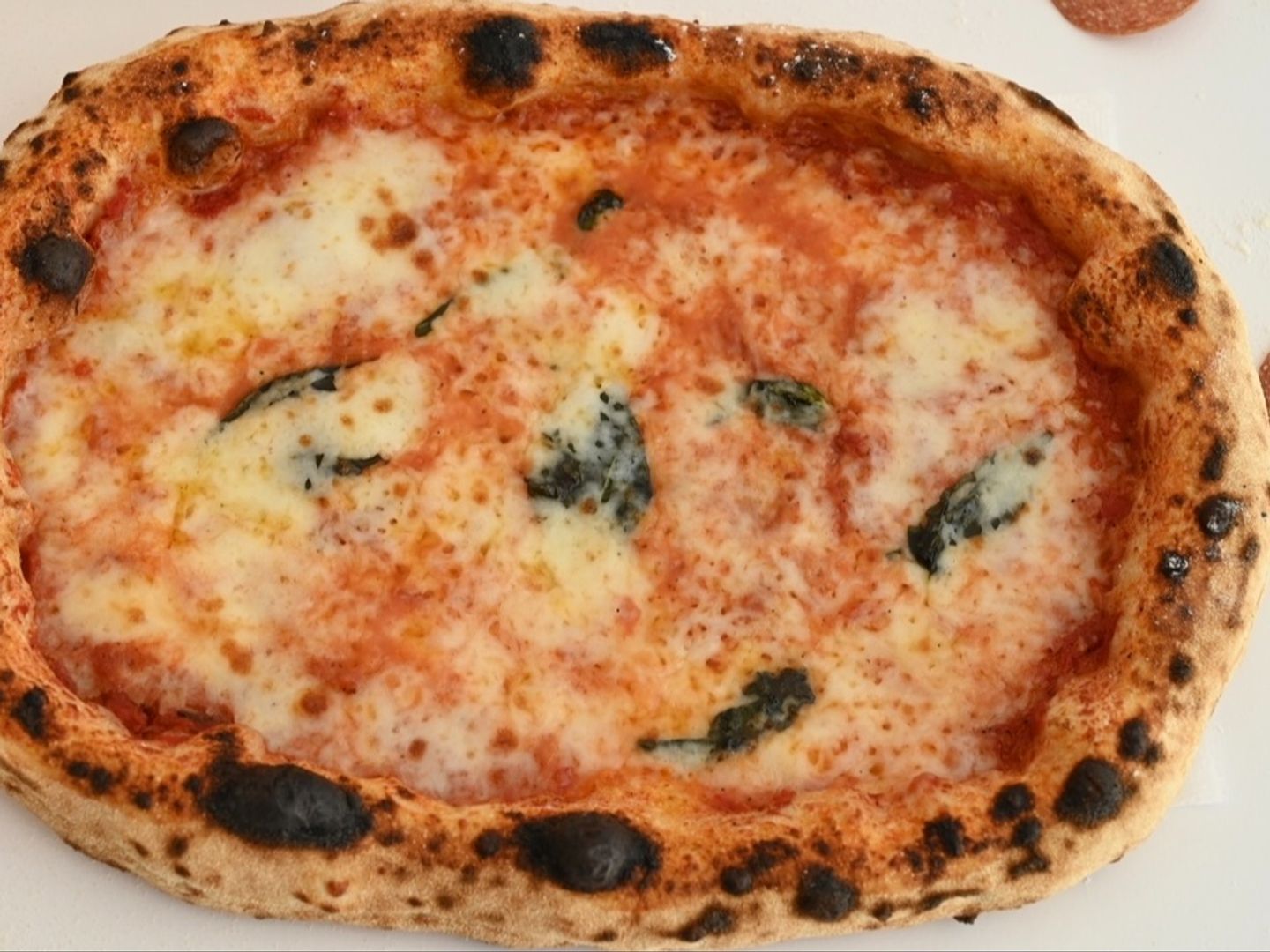 Margherita Pizza (Medium)