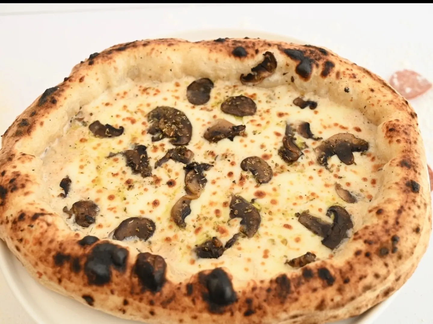 بيتزا الترافل ( وسط )