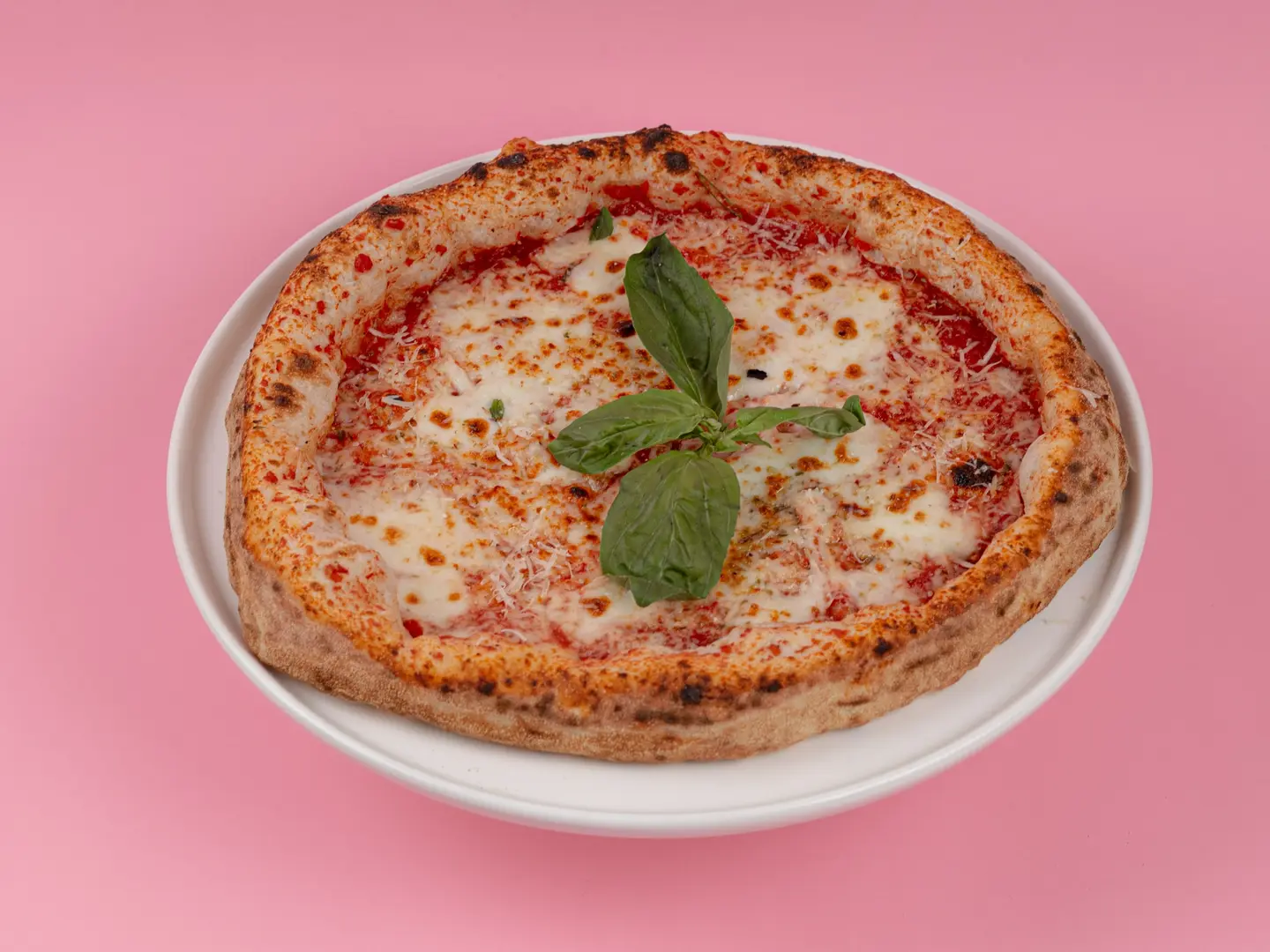 بيتزا مارجريتا ( وسط )