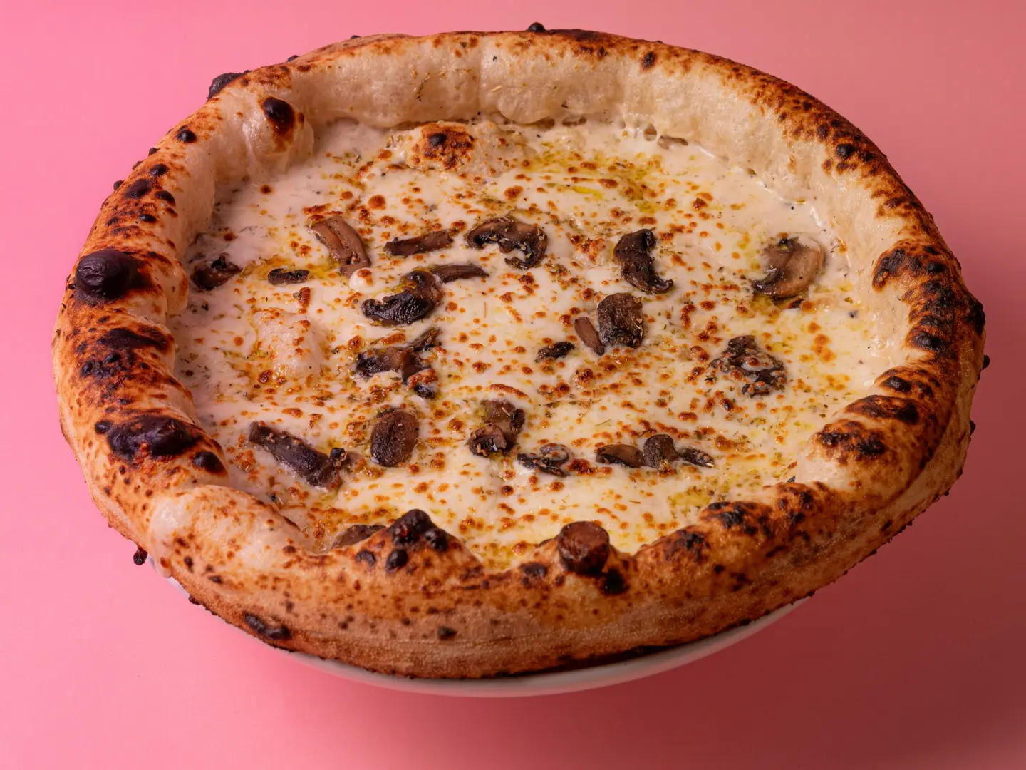 بينزا ترافل كبير