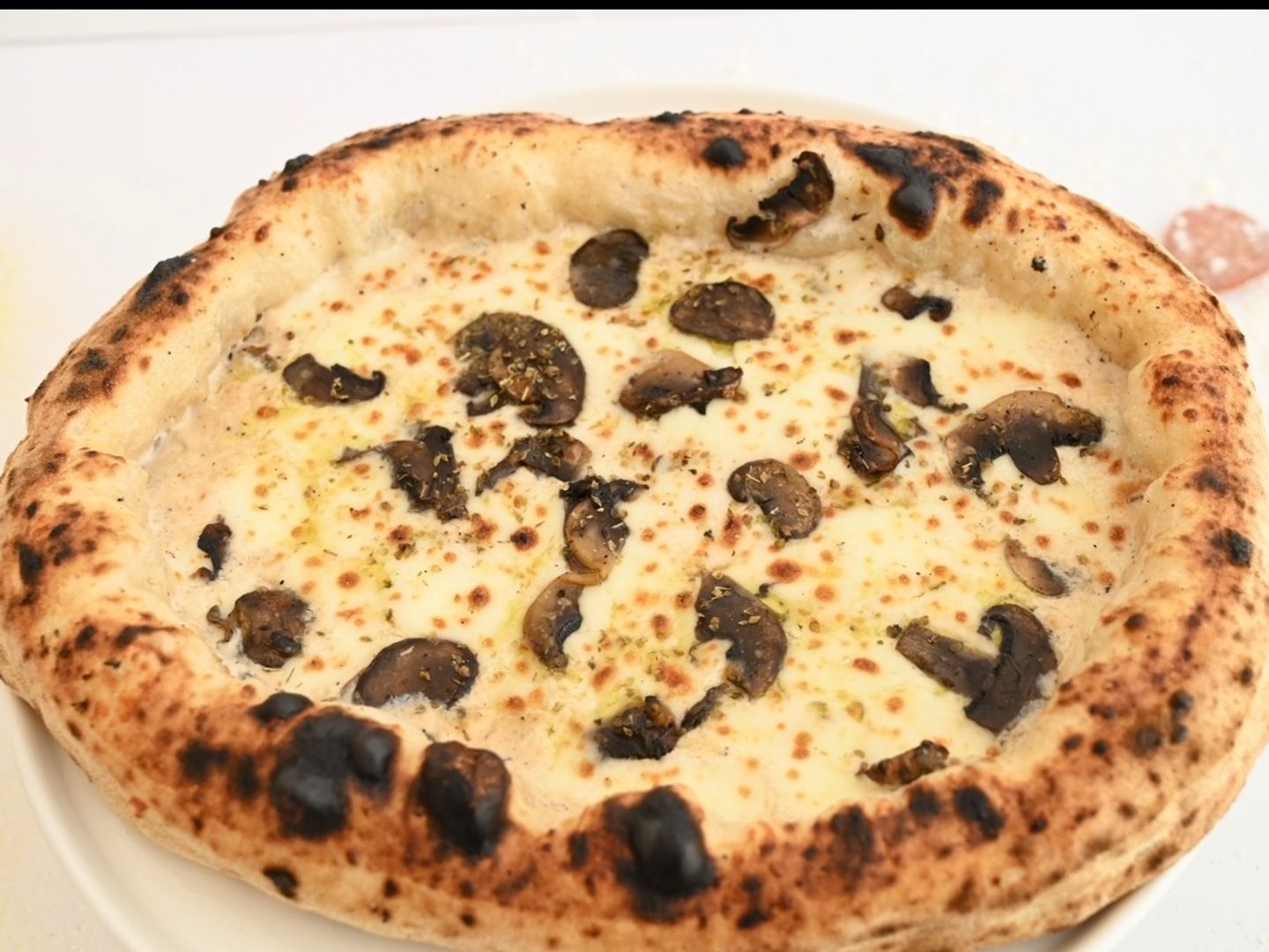 Truffle Pizza ( Medium )