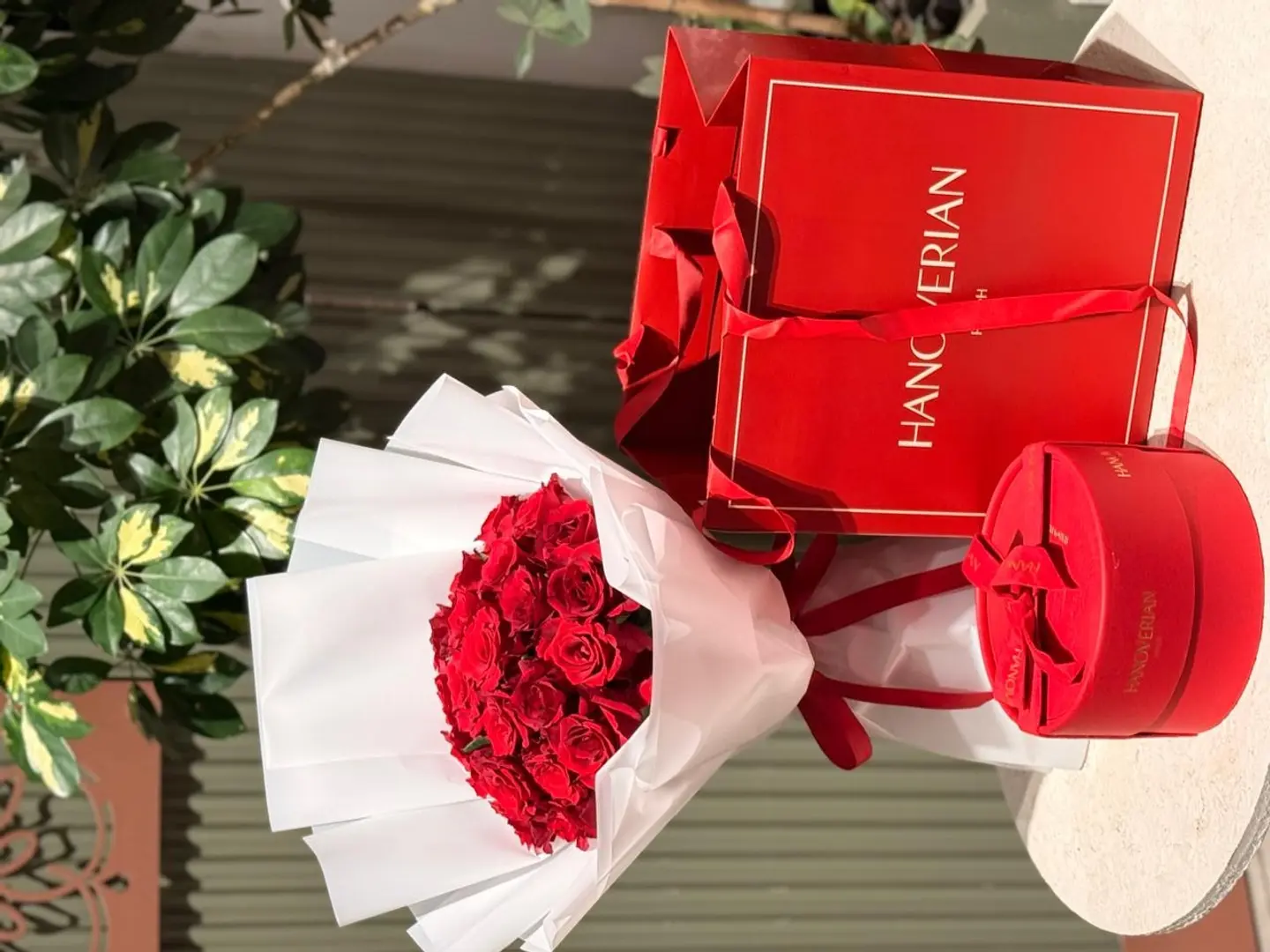 Hanoverian Chocolate With A Bouquet Of Roses