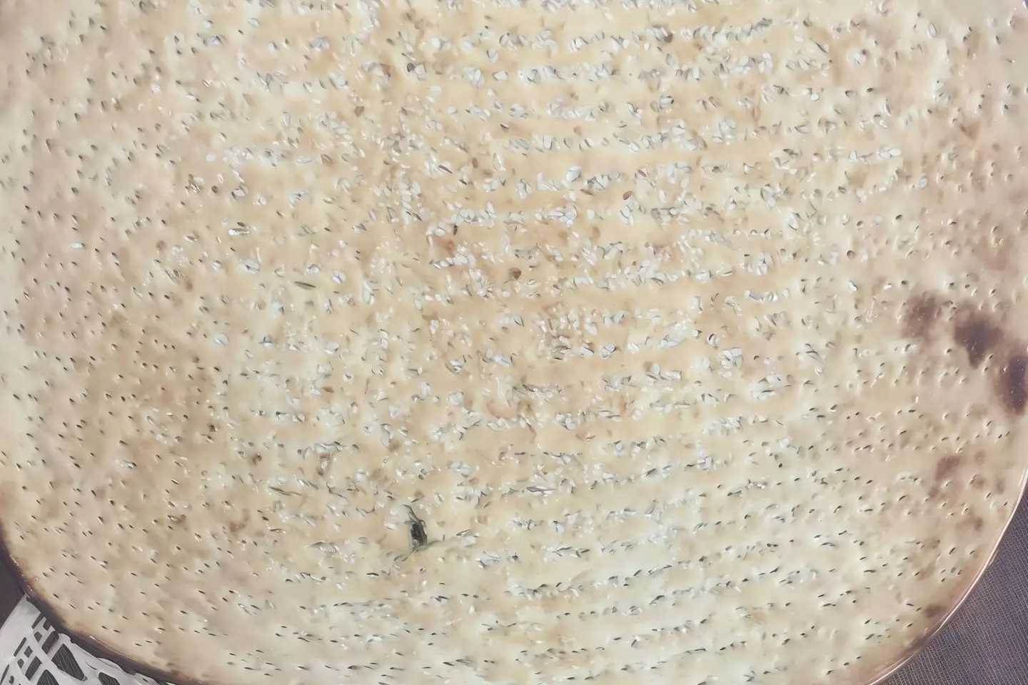 تميس بر