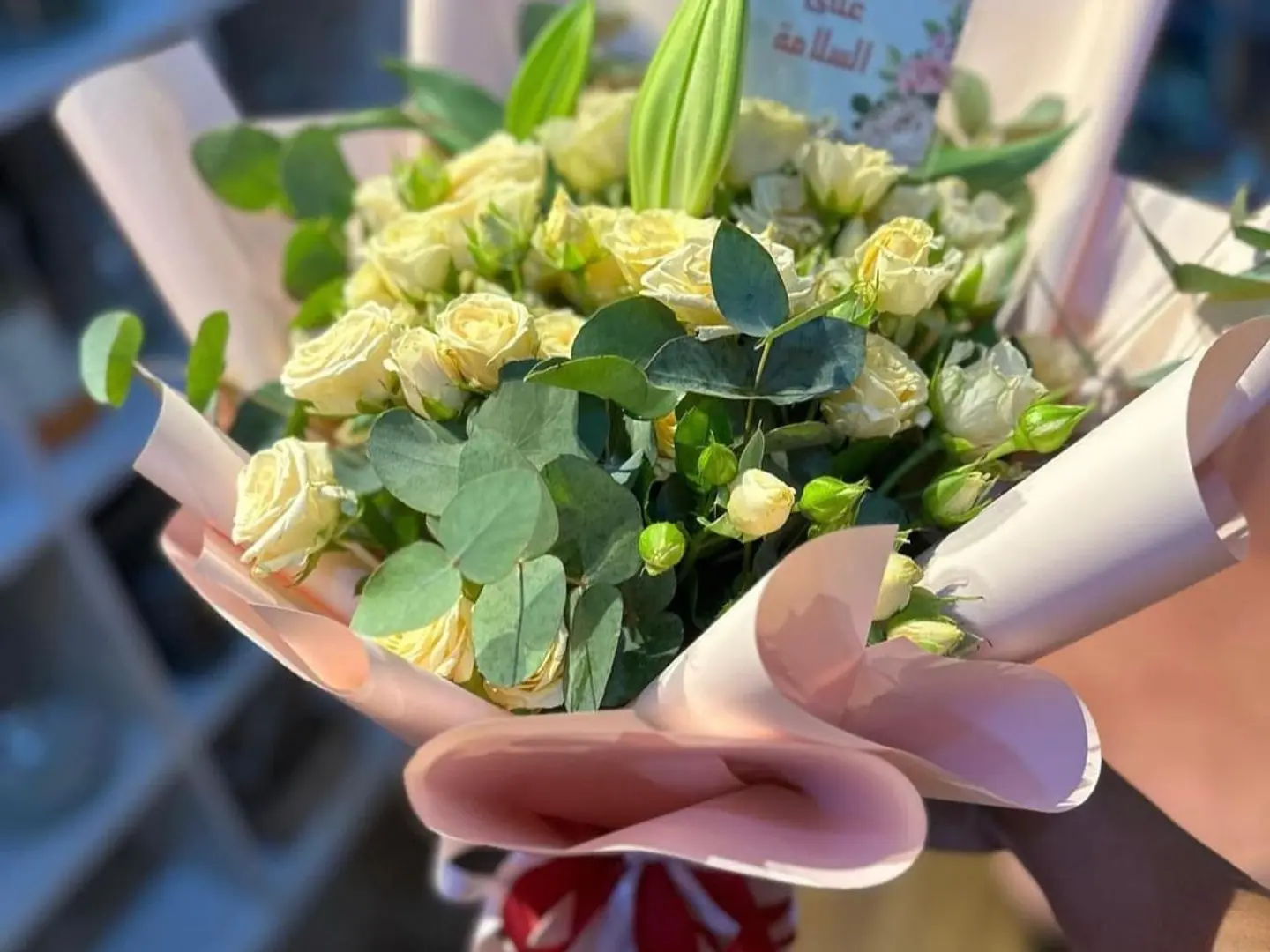 بيبي روز وايت