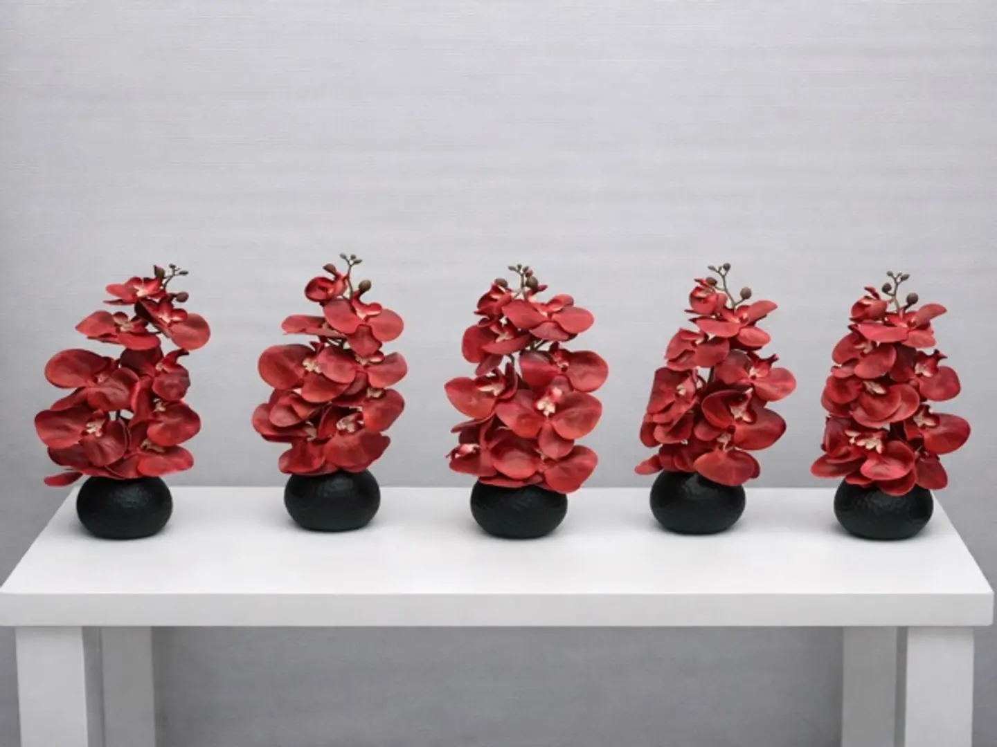 هيبة الأوركيد