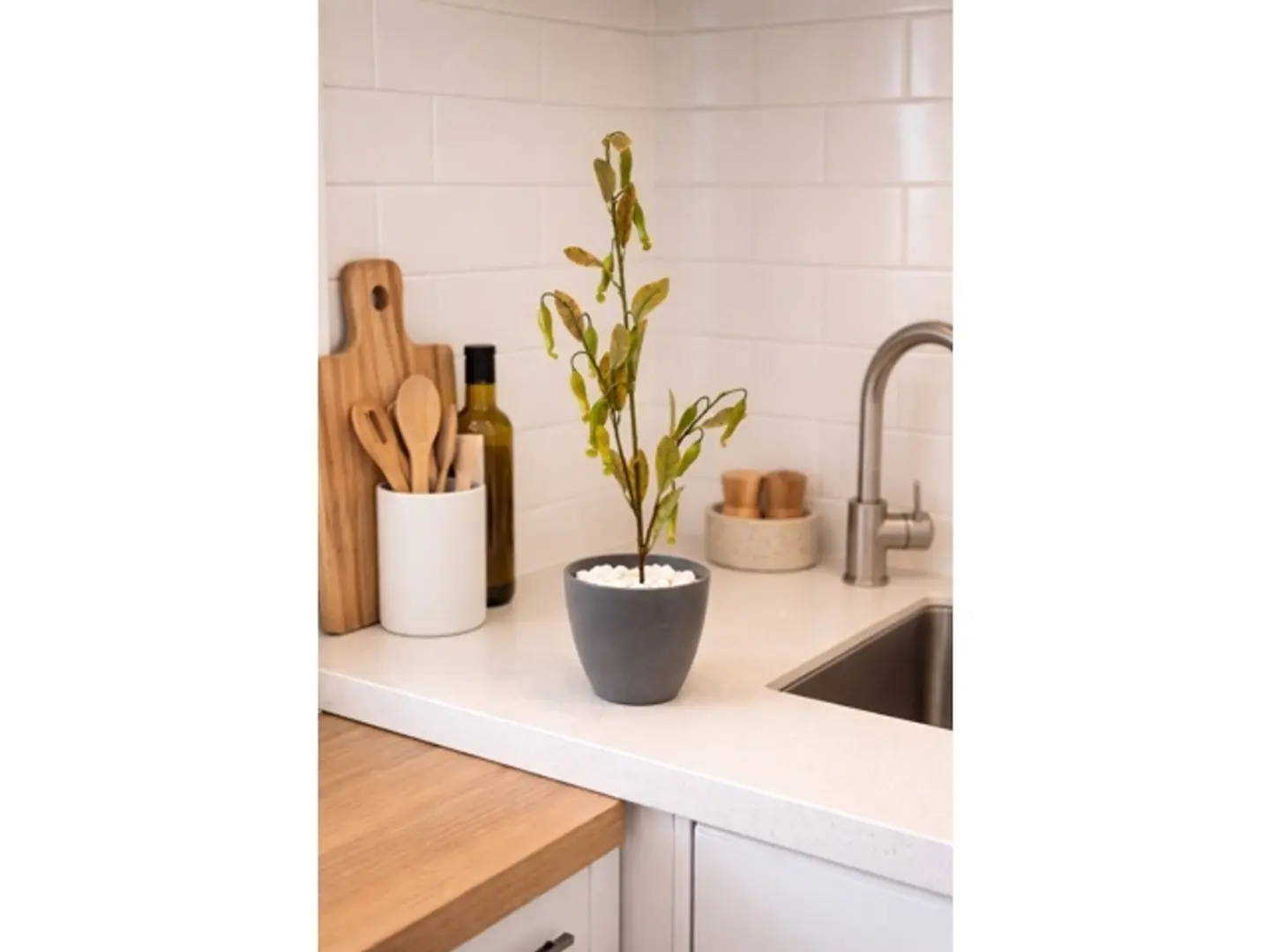 روح الطبيعة