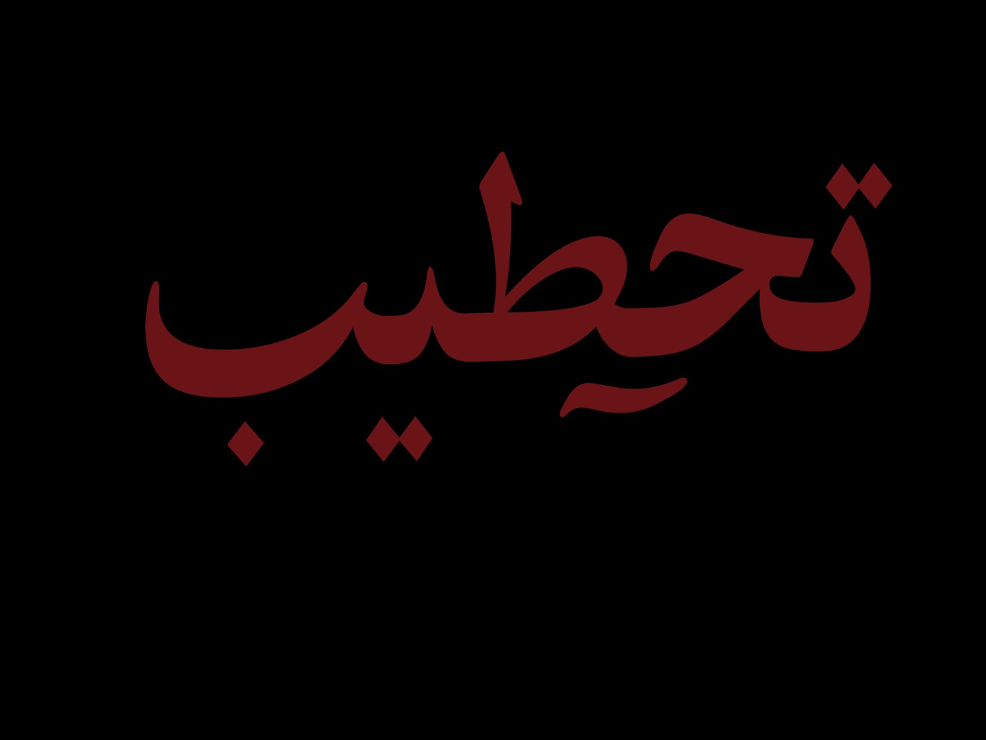 بيتزا بيف برغر