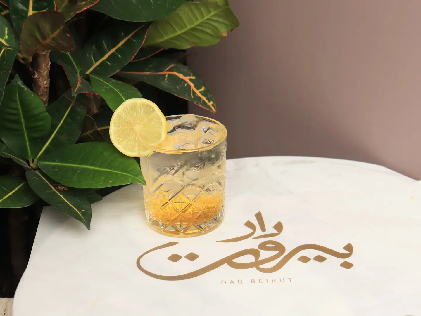 ميكس موهيتو دار بيروت سفن