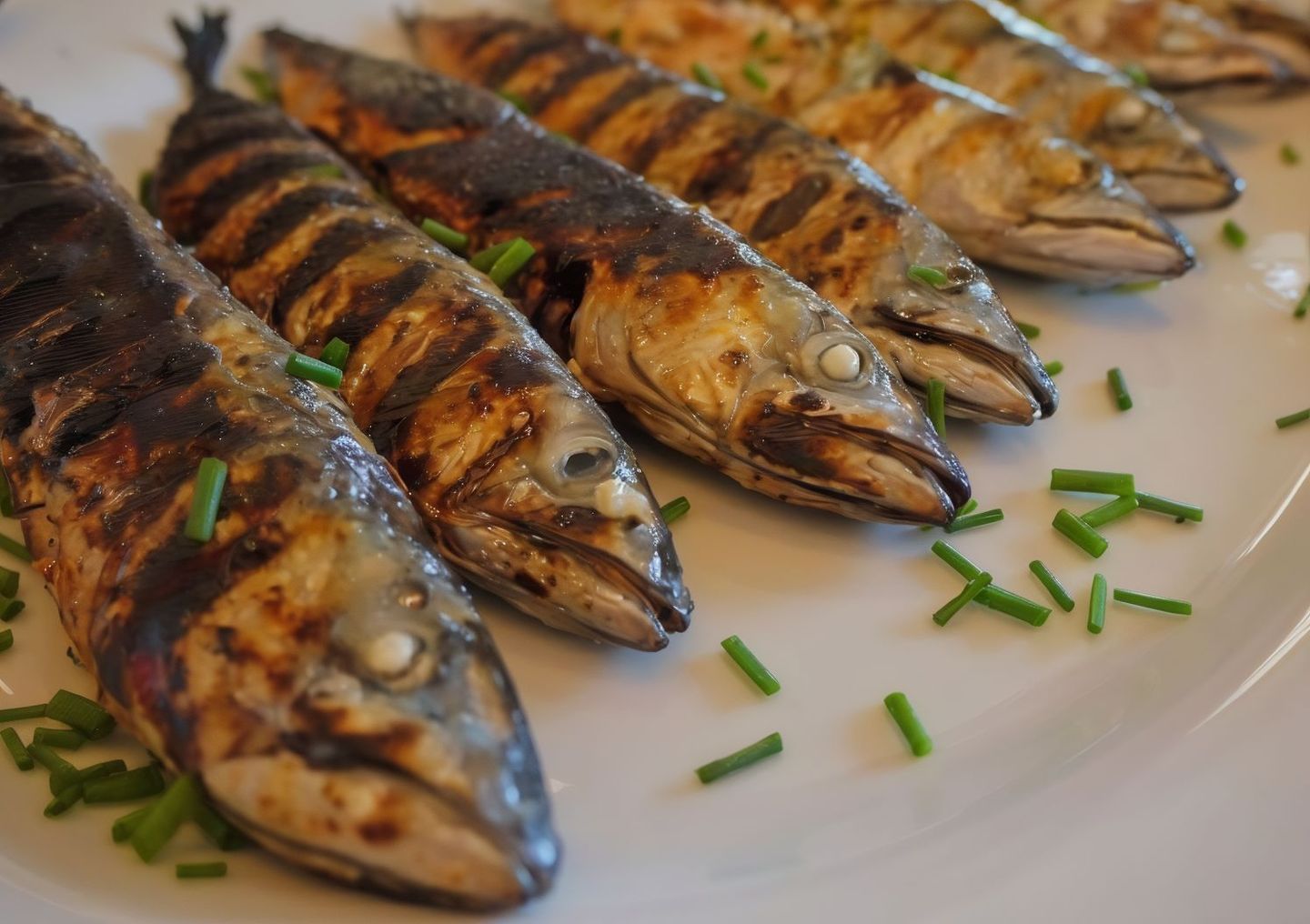 Mackerel