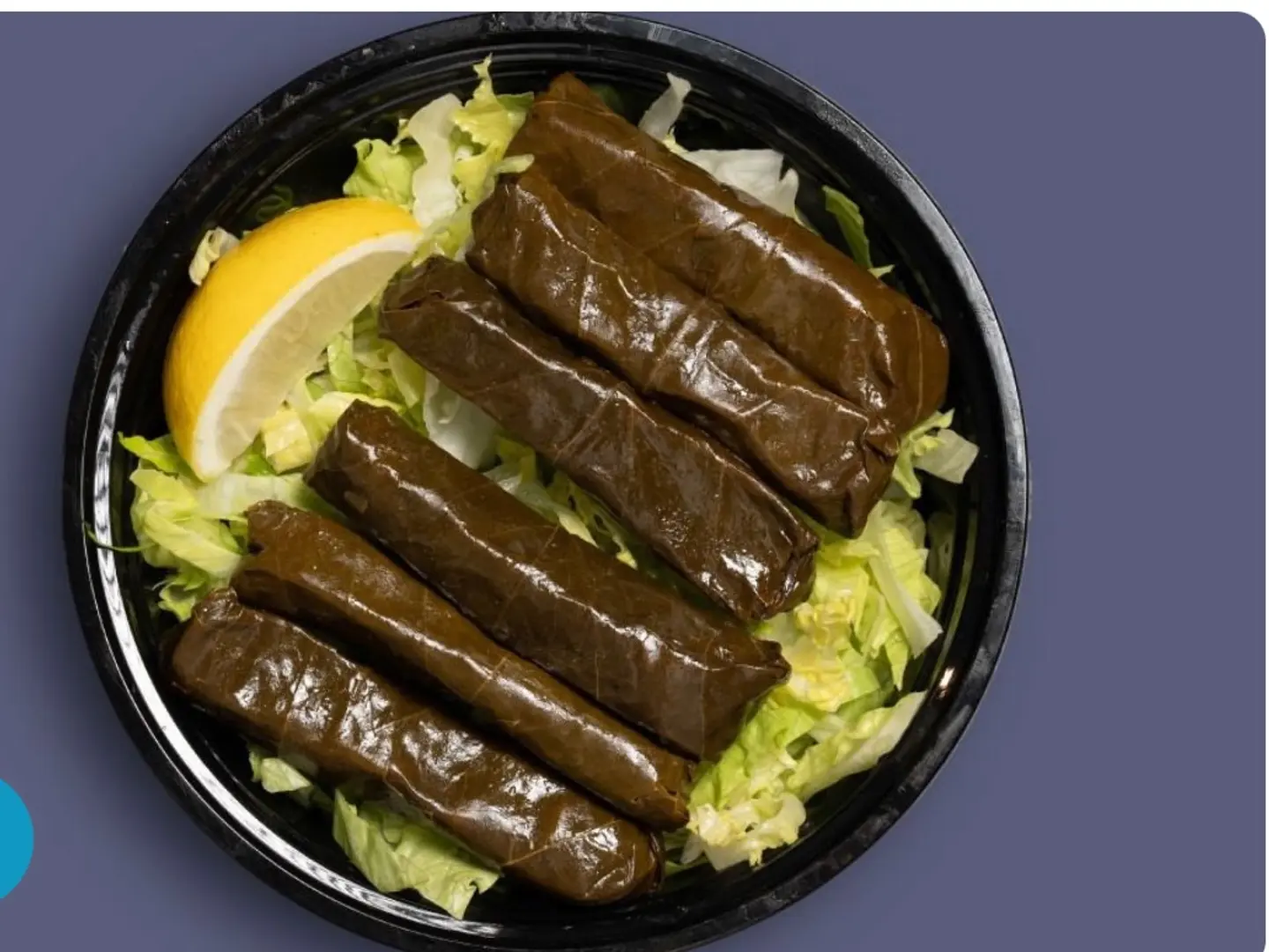 ورق العنب 48 حبه