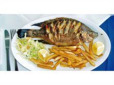وجبه بلطي