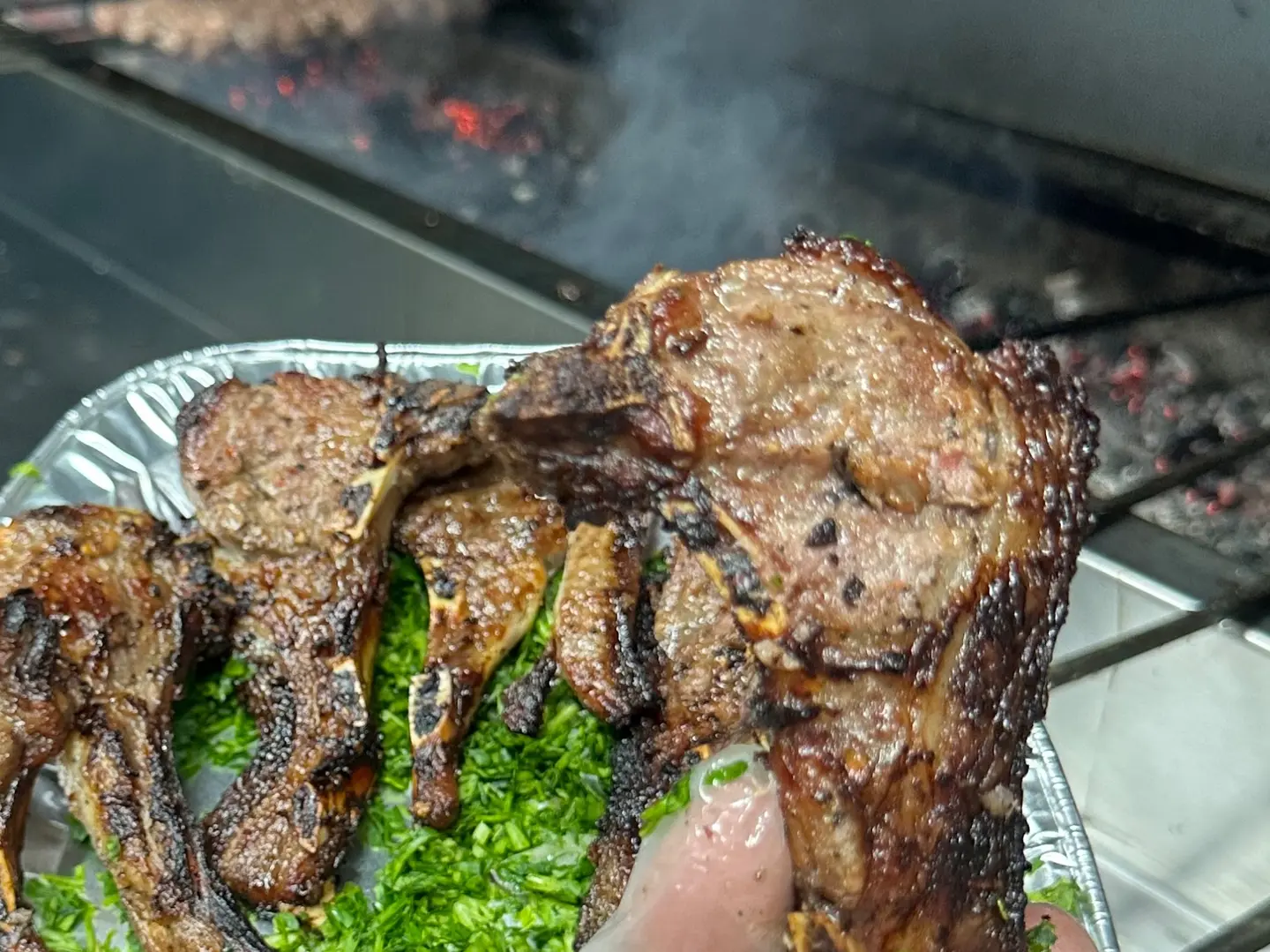 صحن ريش ضاني