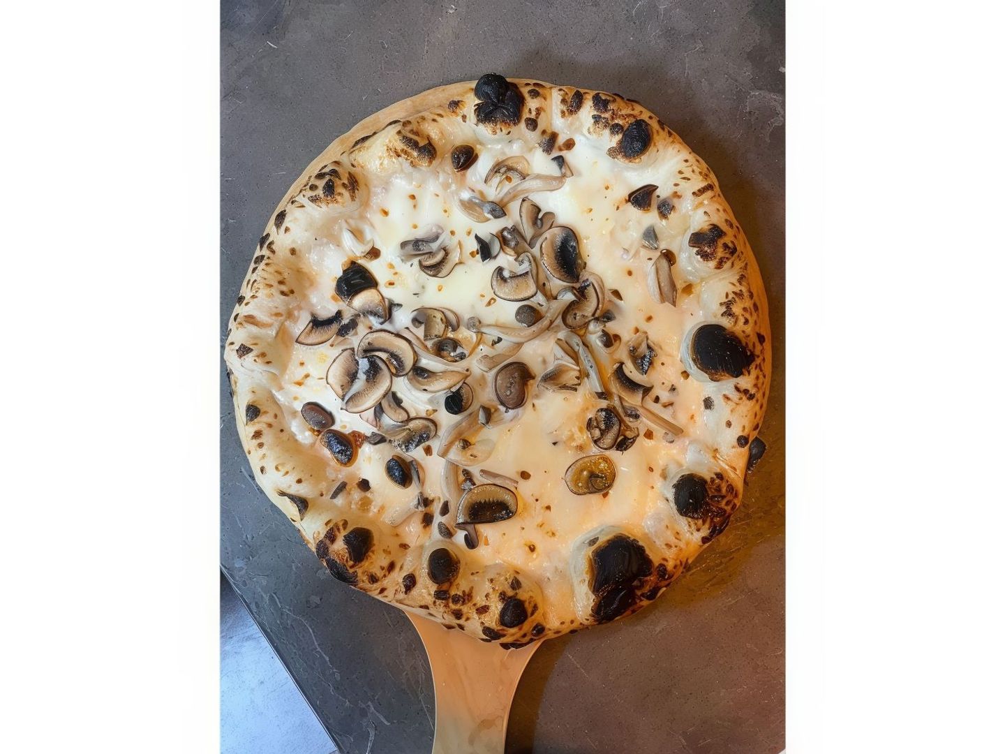 Truffle Mushroom Pizza