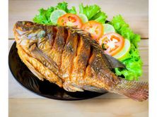 سمك البلطي بدون أرز