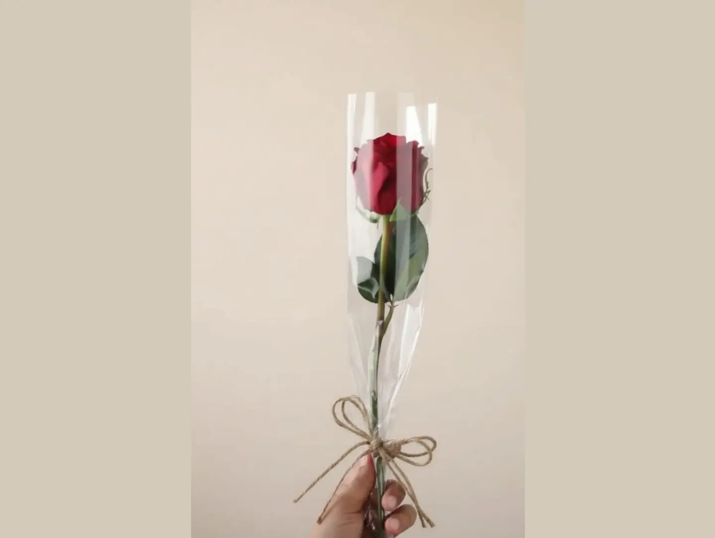 روز احمر