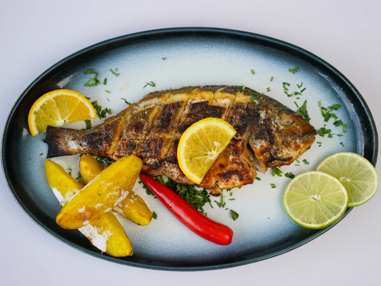 Kilo Seabream