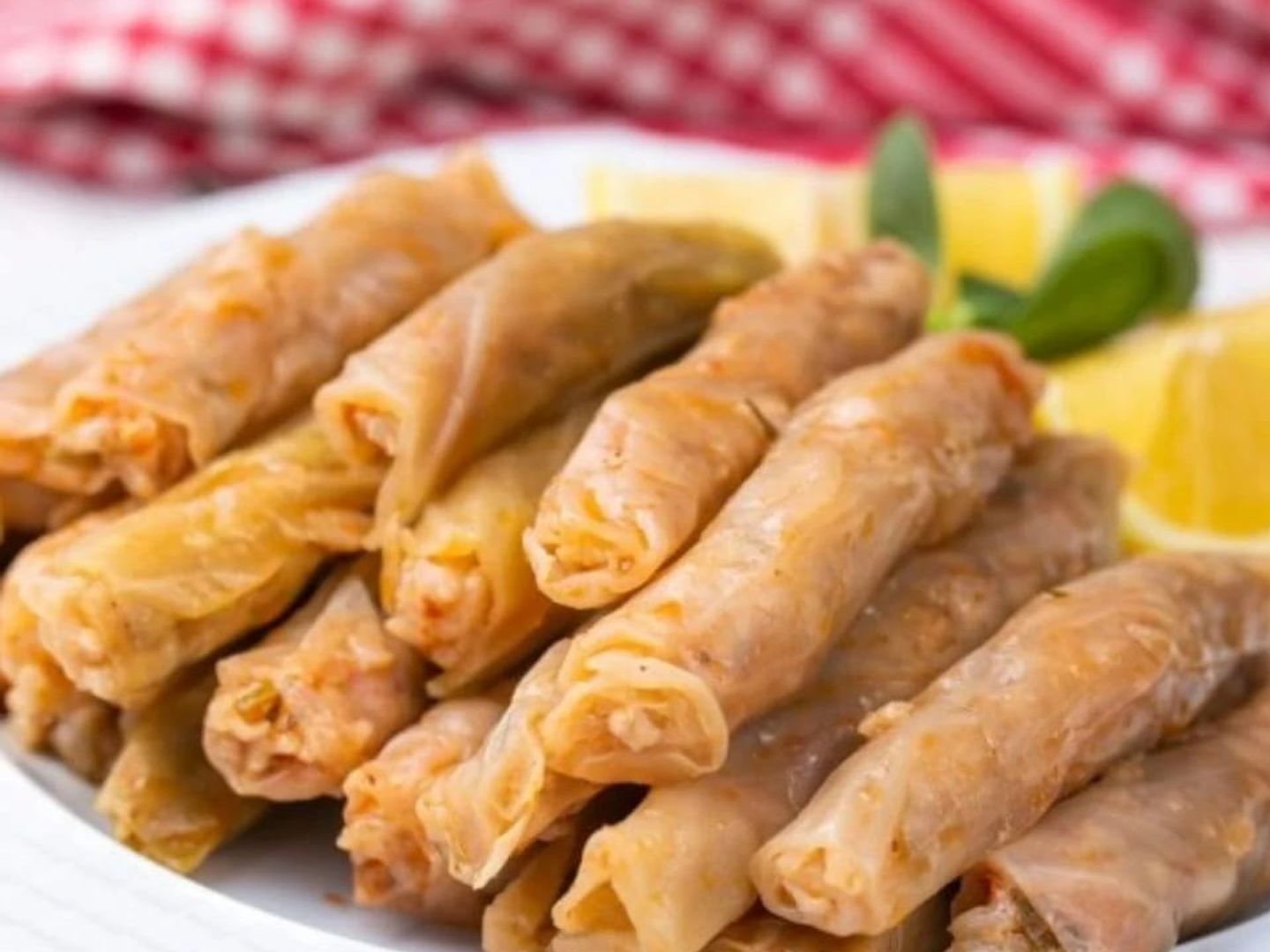 محشي كرنب