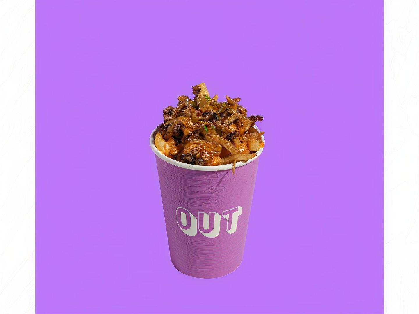 Loaded Fries With Beef