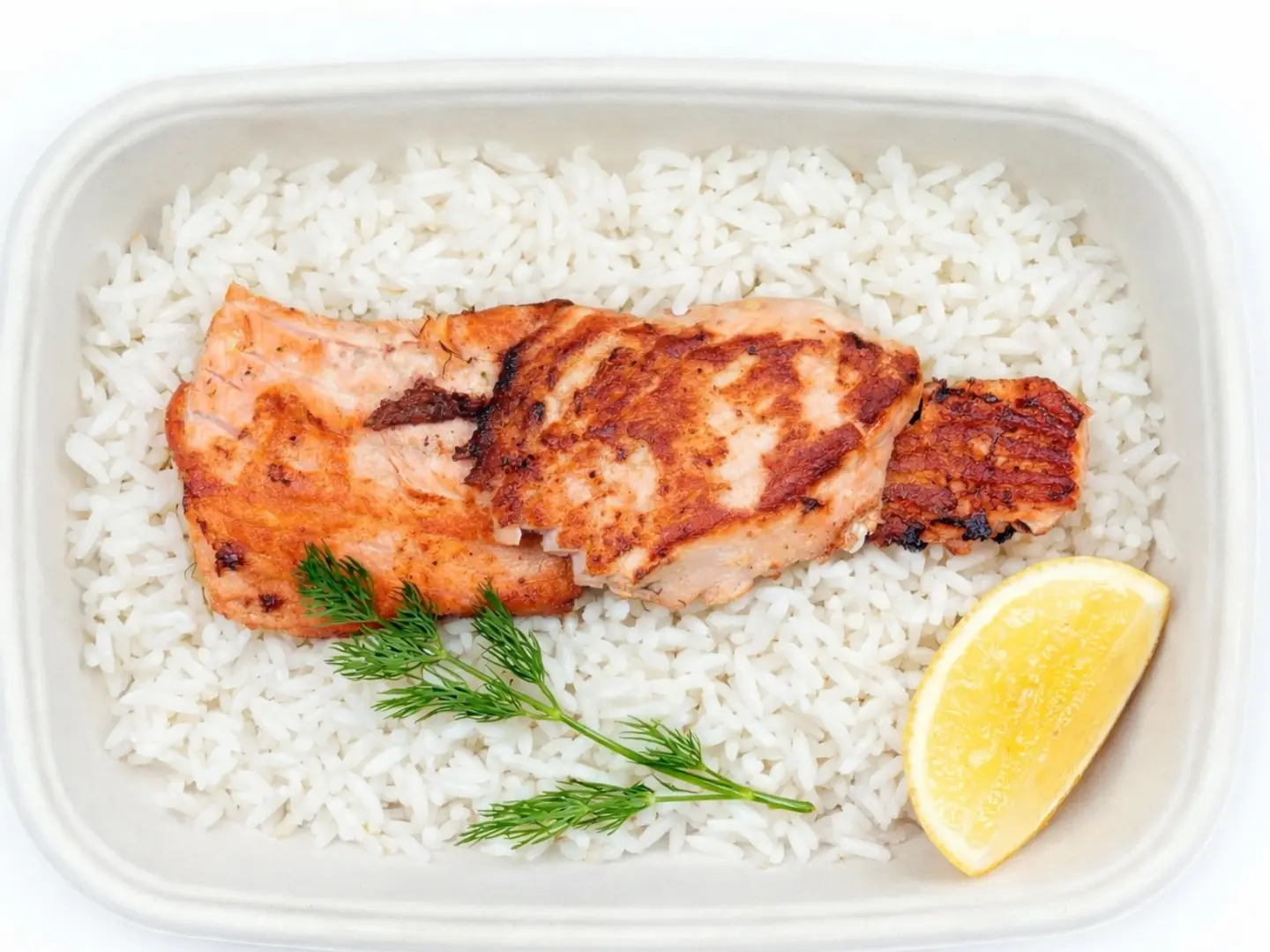 Salmon & Rice (High Protein)