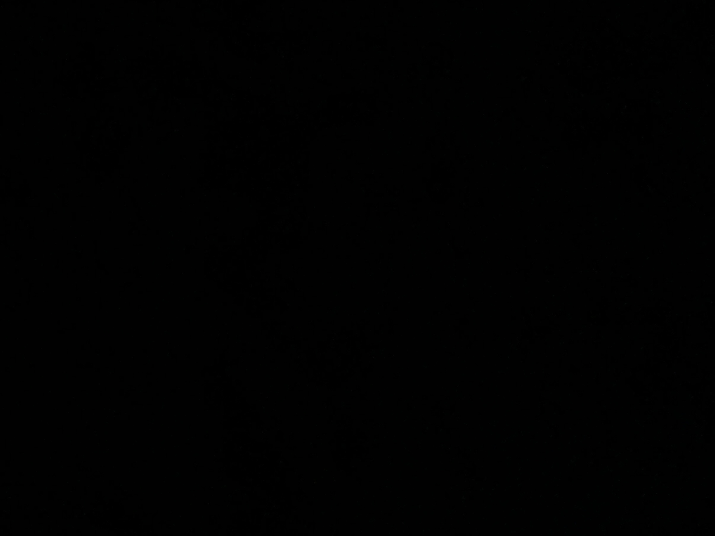 عصير ربيع