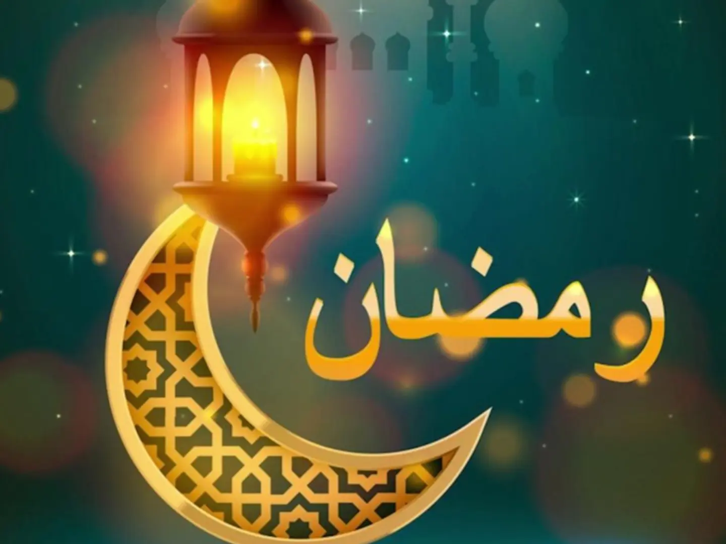 جبنة بالطماطم