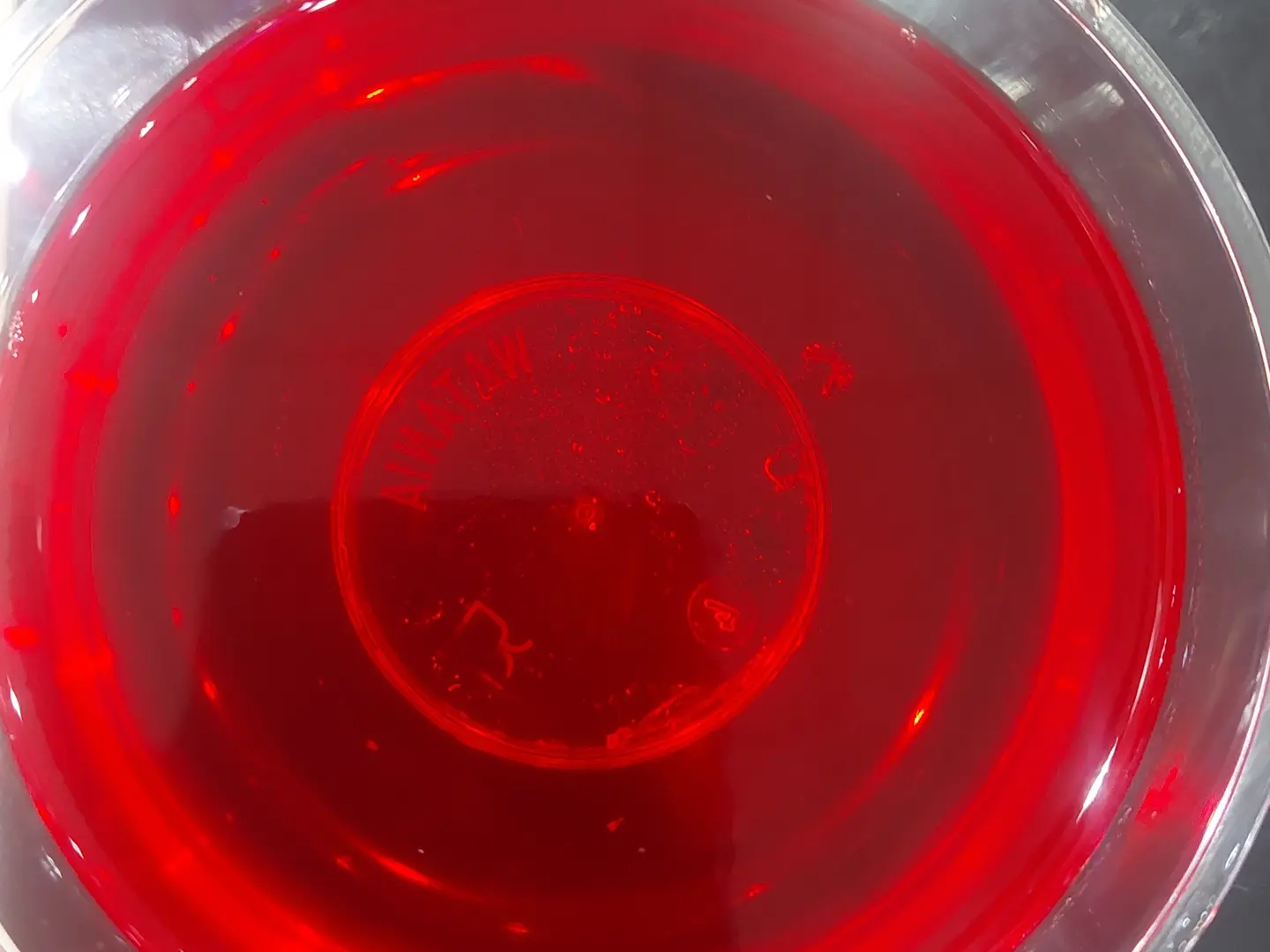 جيلي فراوله