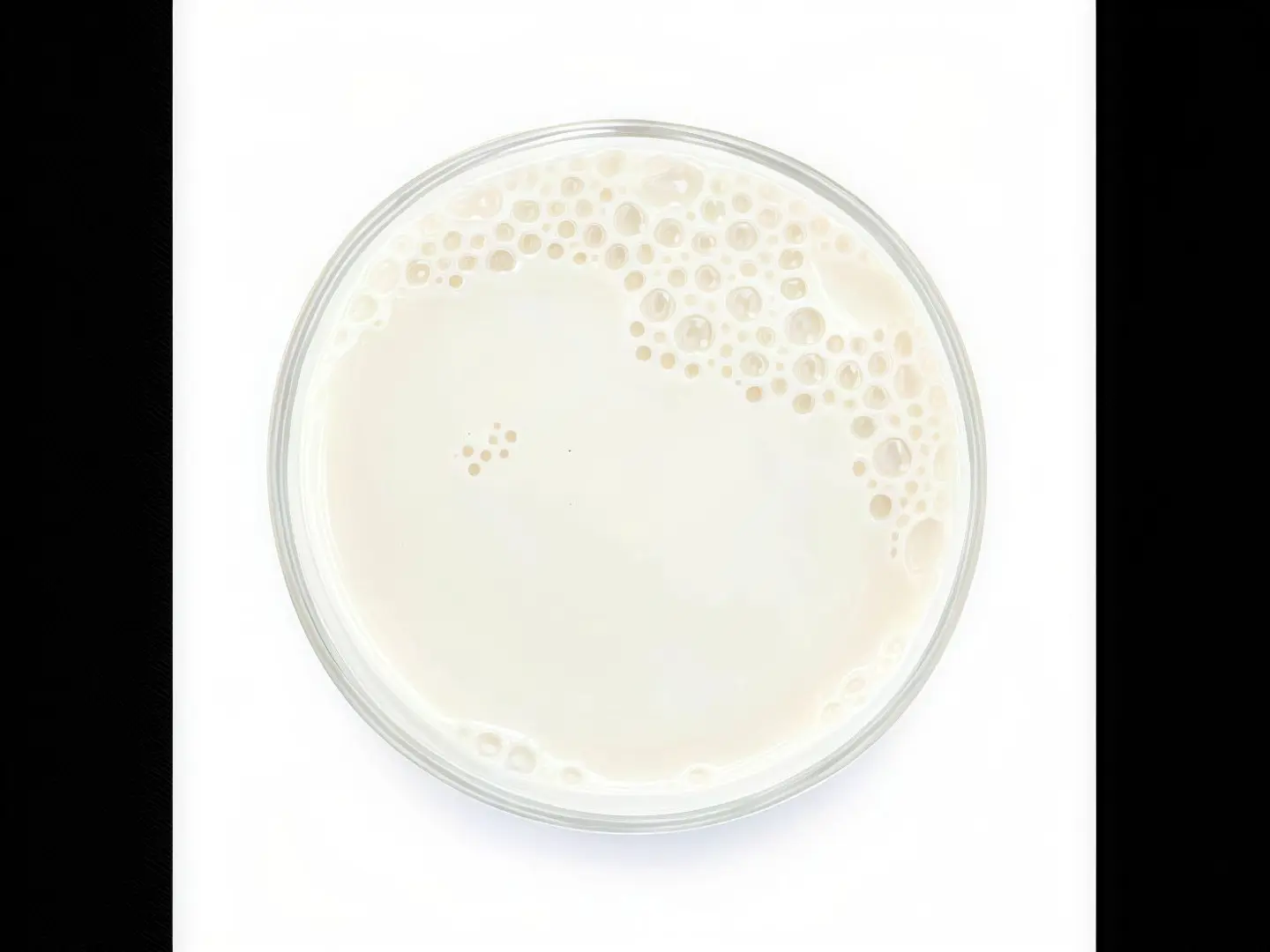 Milk