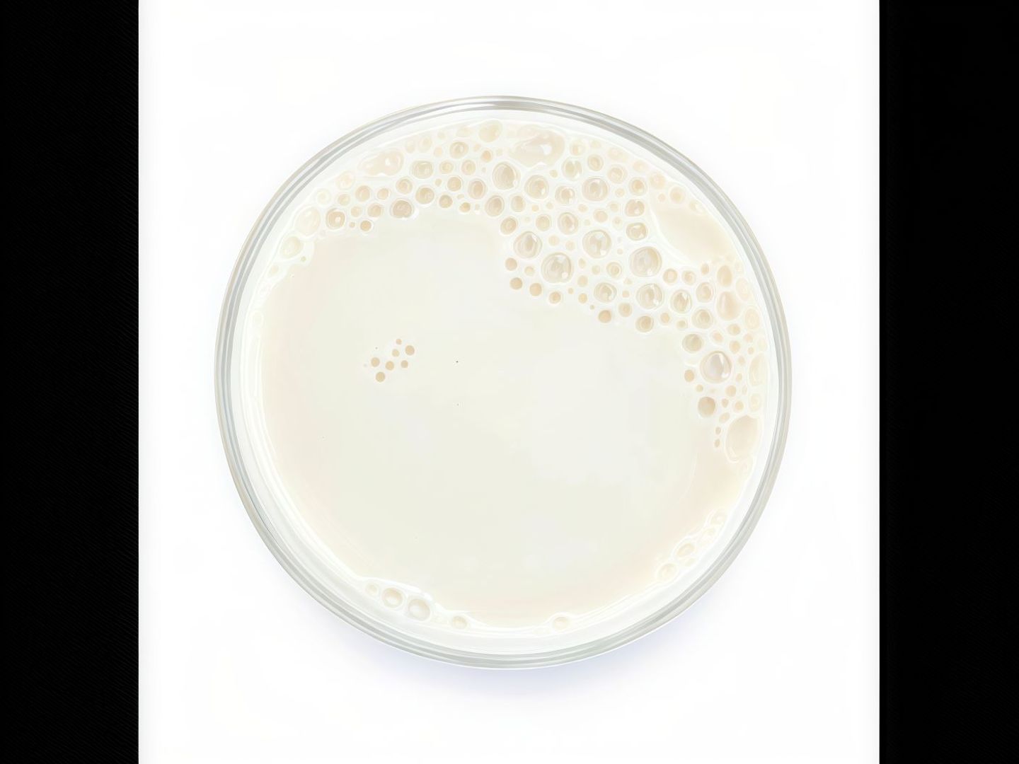Milk