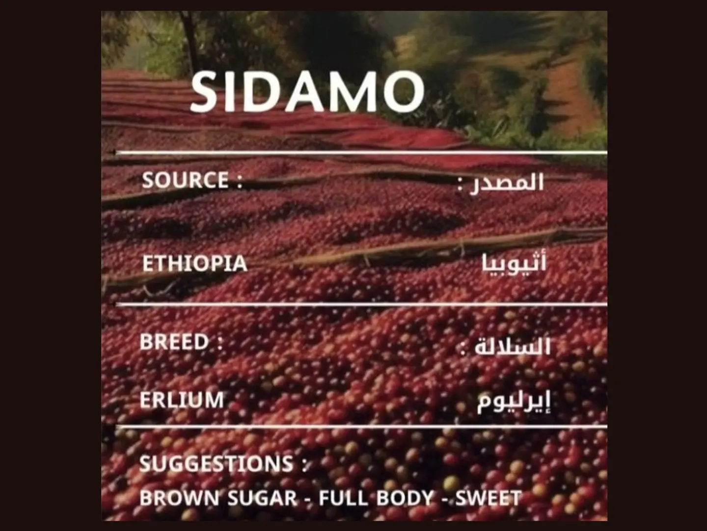Sidamo