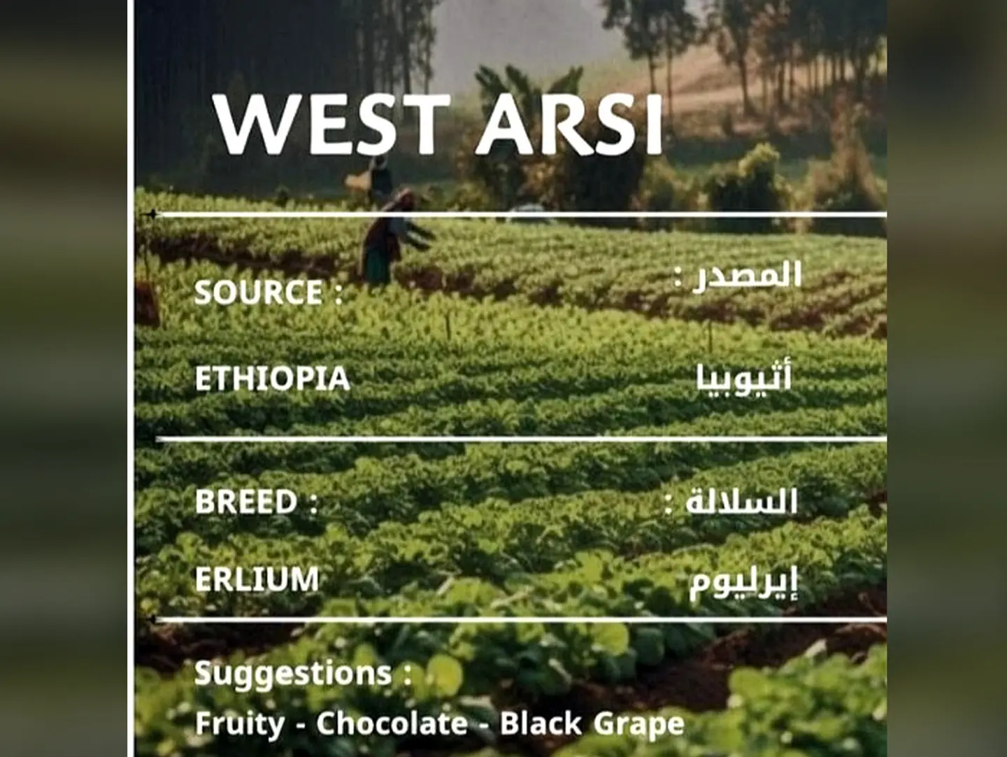 West Arsi