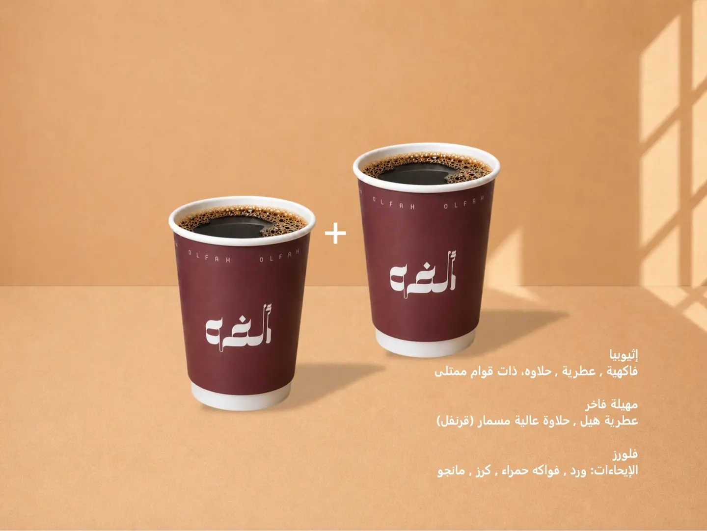 V60 (2 Pcs)