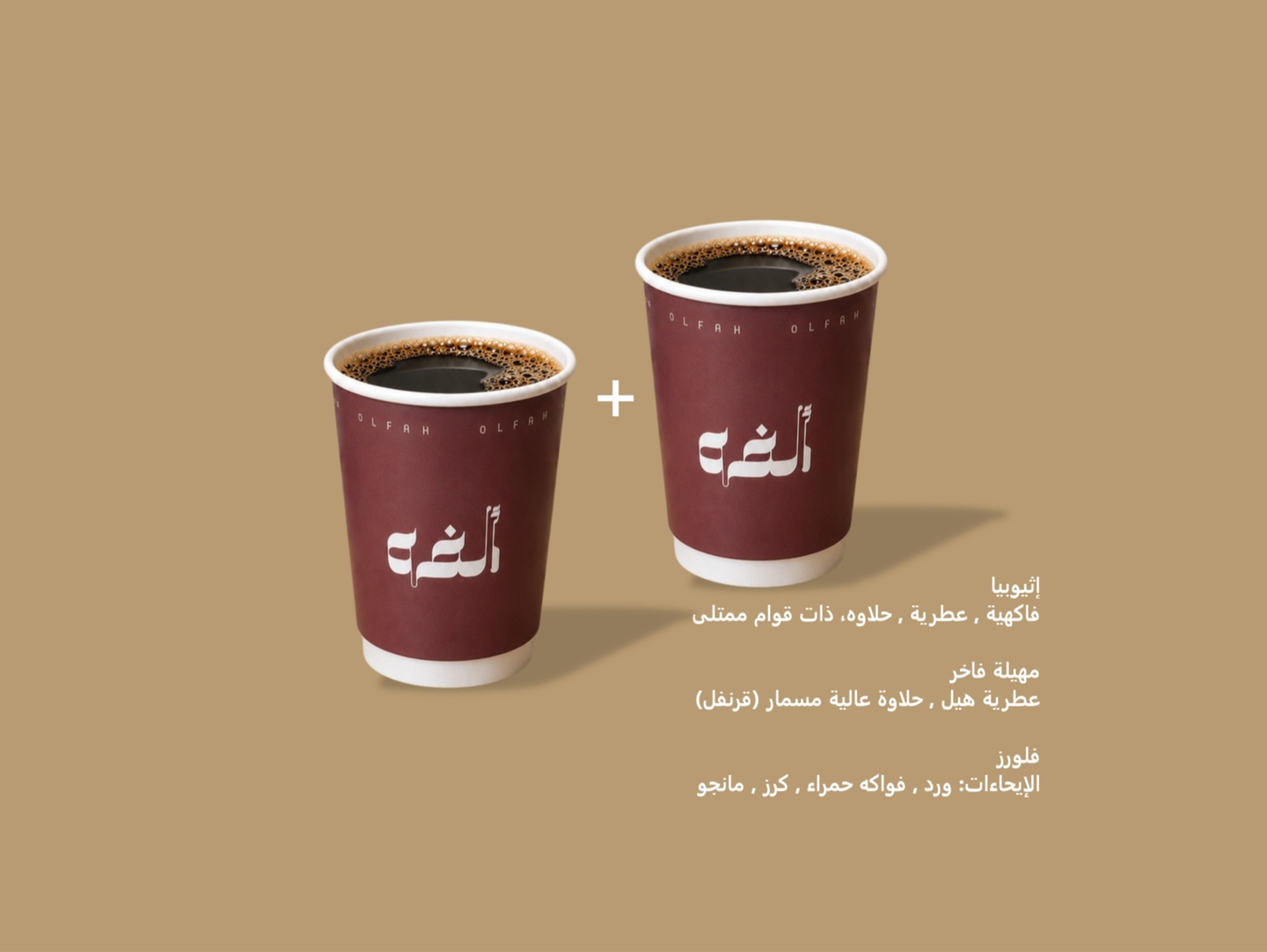 في ٠٦ فــاخر