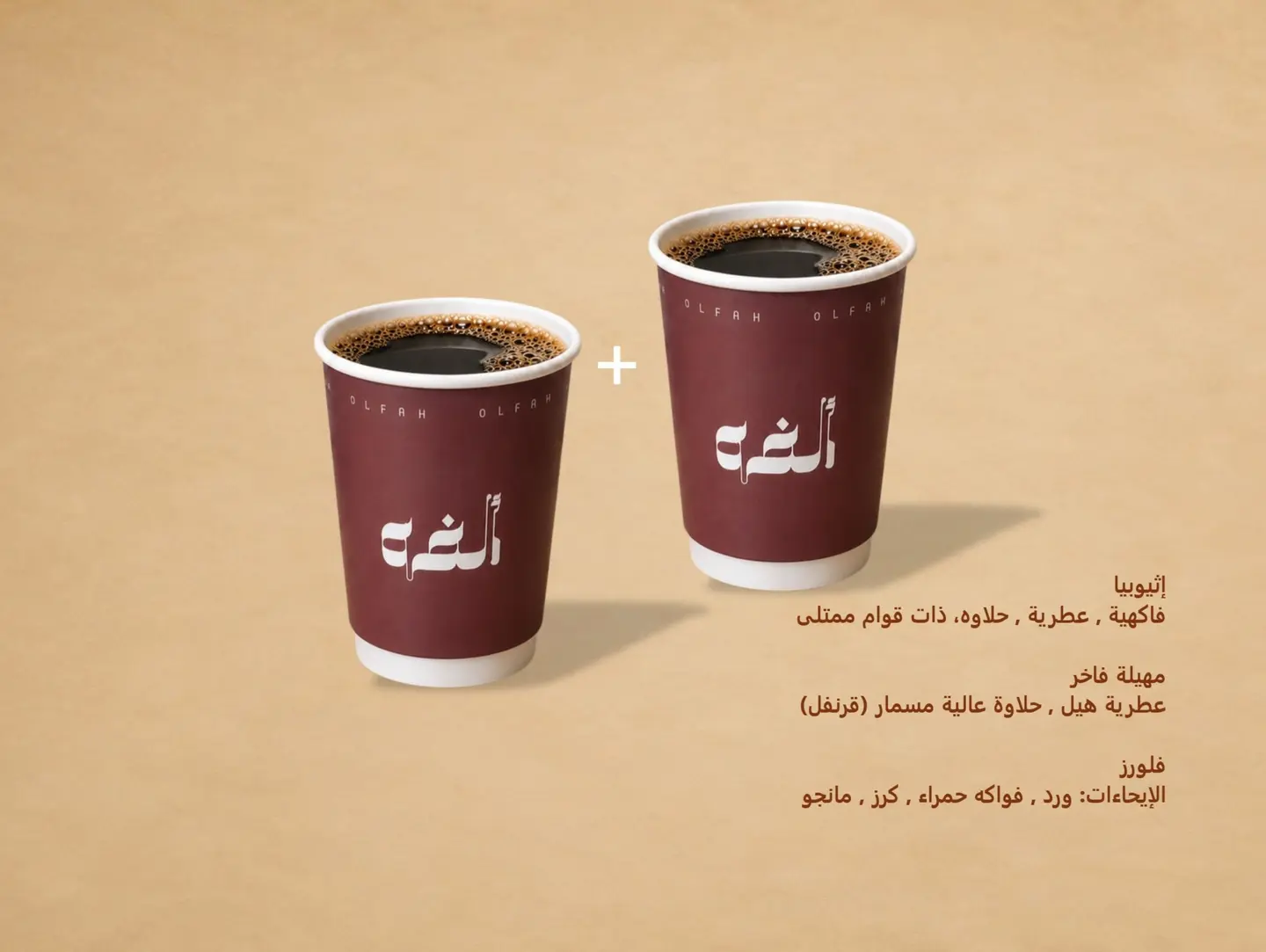V60 (2 Pcs)