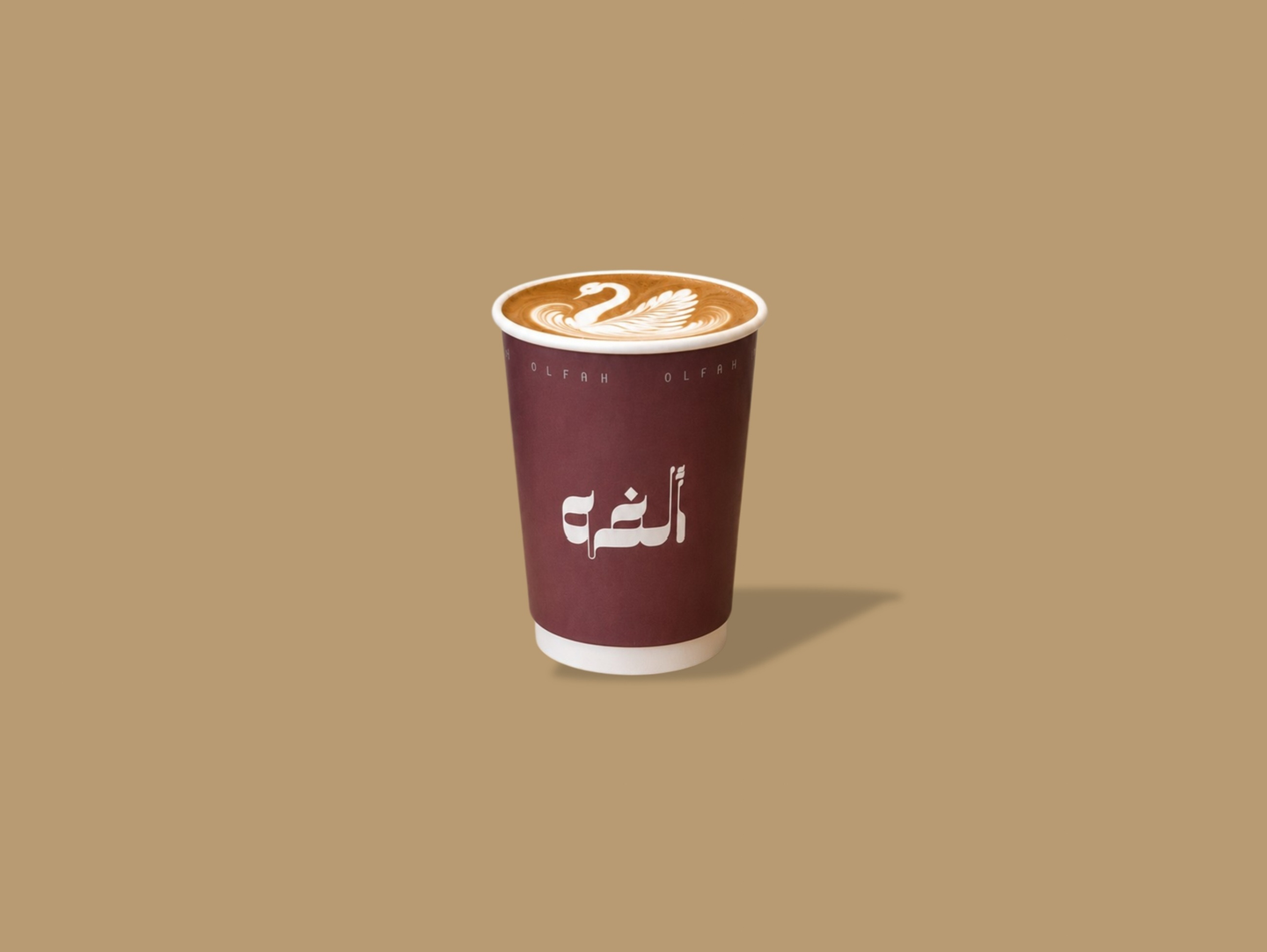 فلات وايت