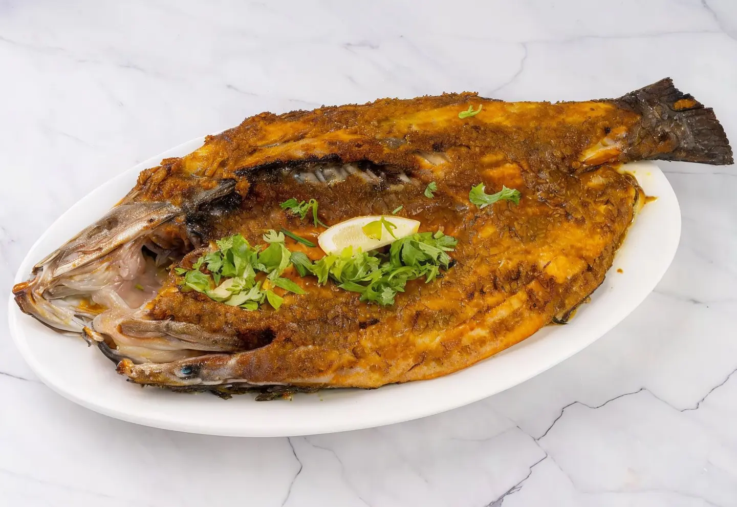 Fried Egyptian Bass Fish