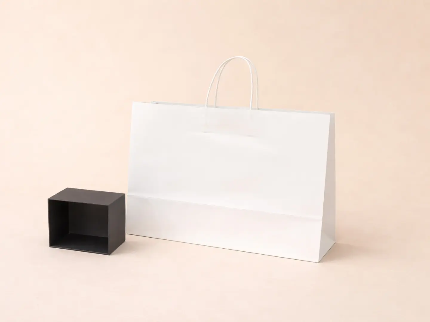 Large White Paper Bag