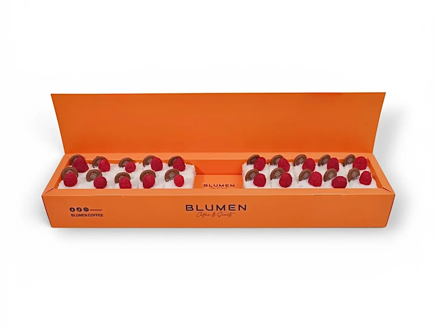 Coconut Berries Bites