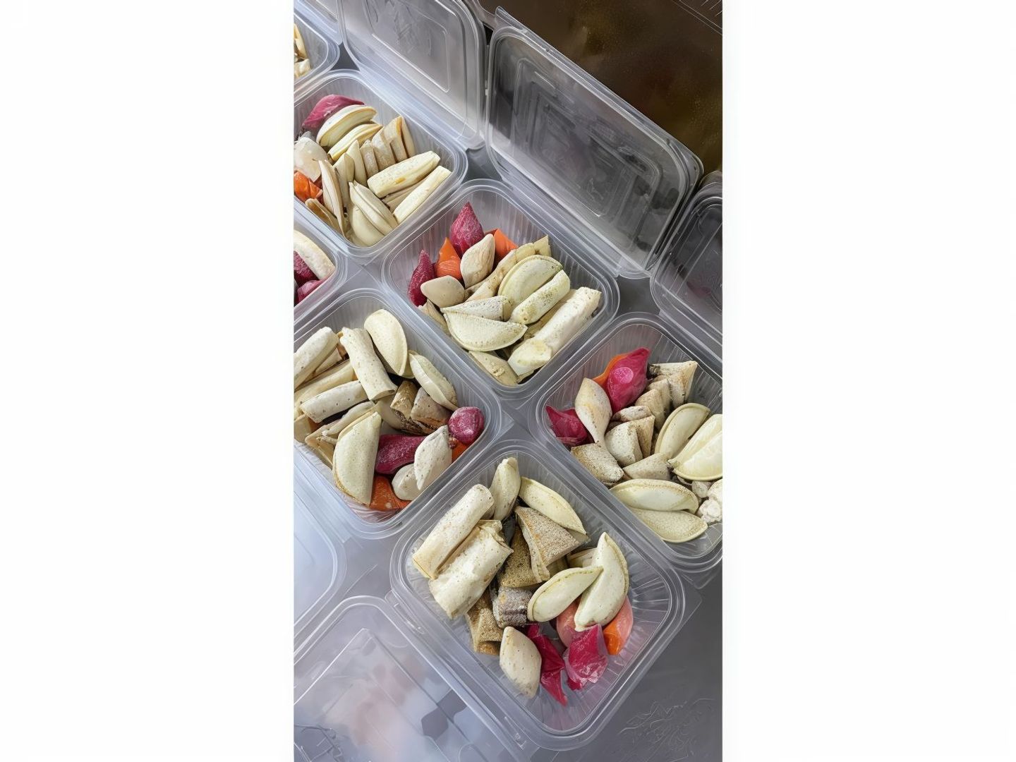 Freezer Experiment Box