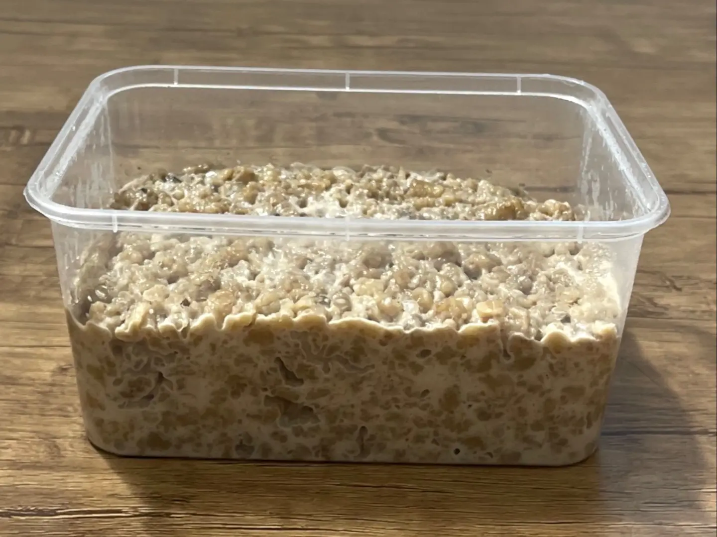 معصوب عادي دبل قشطة