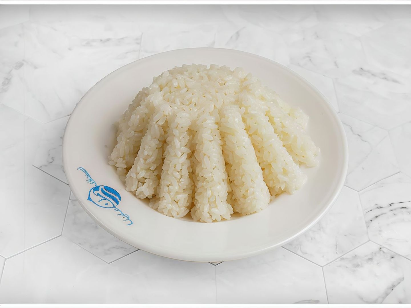 Egyptian White Rice