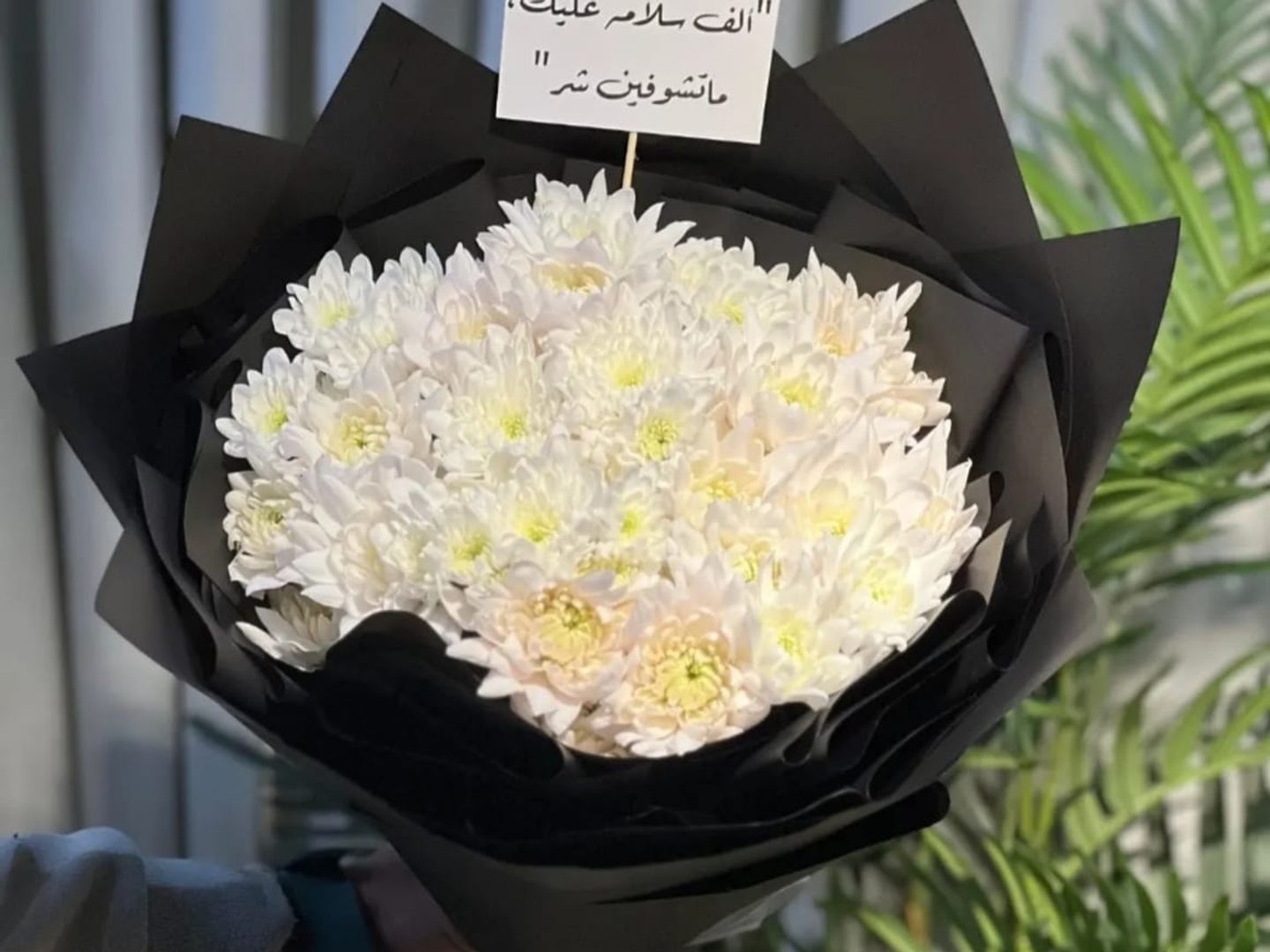 بوكيه كريز