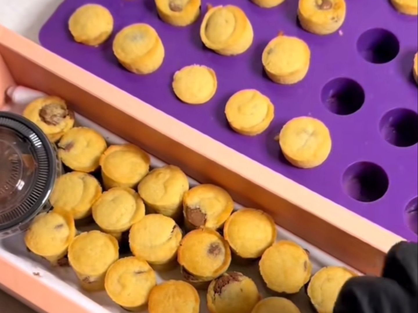 Box Baits