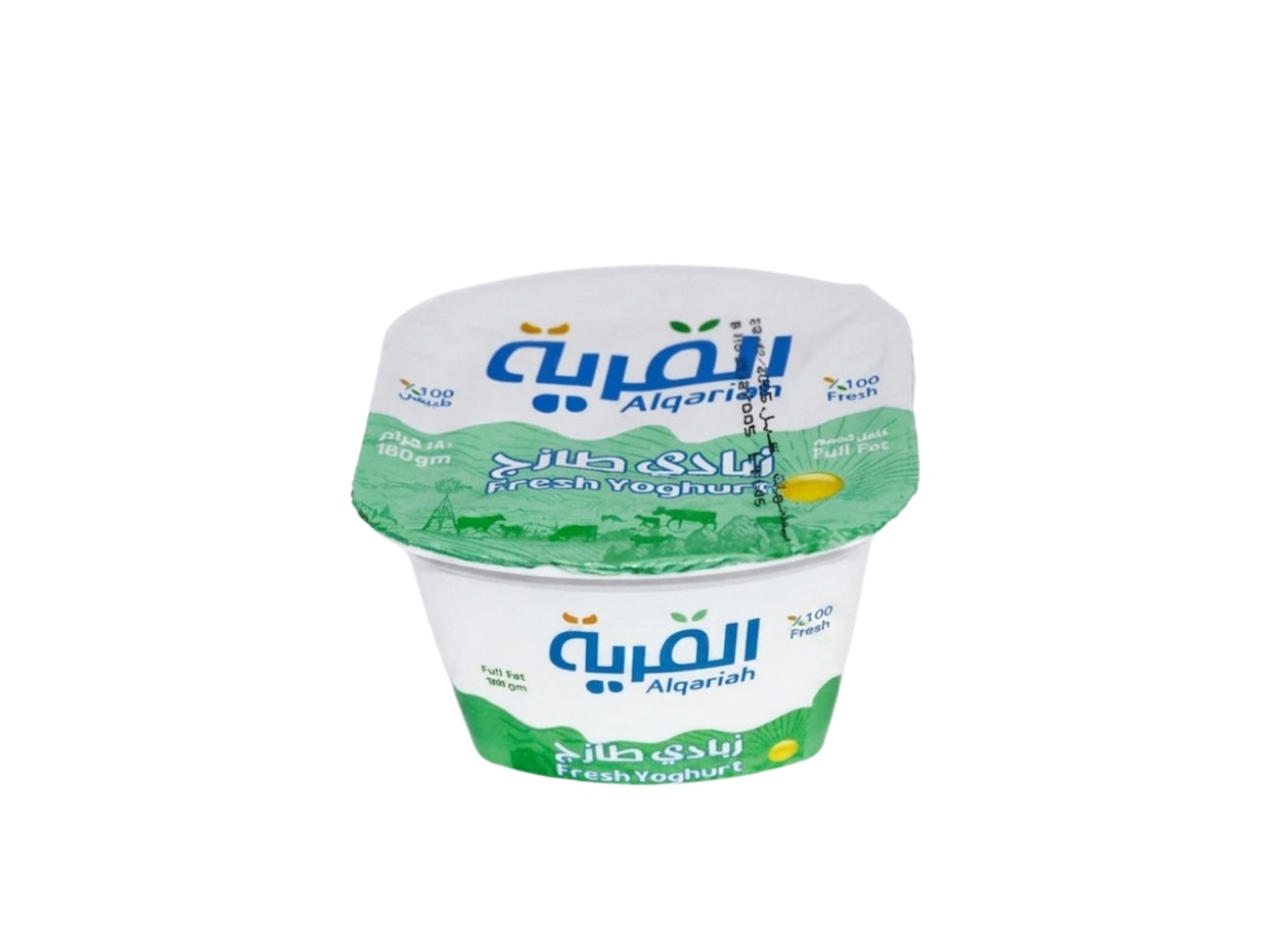 Yogurt