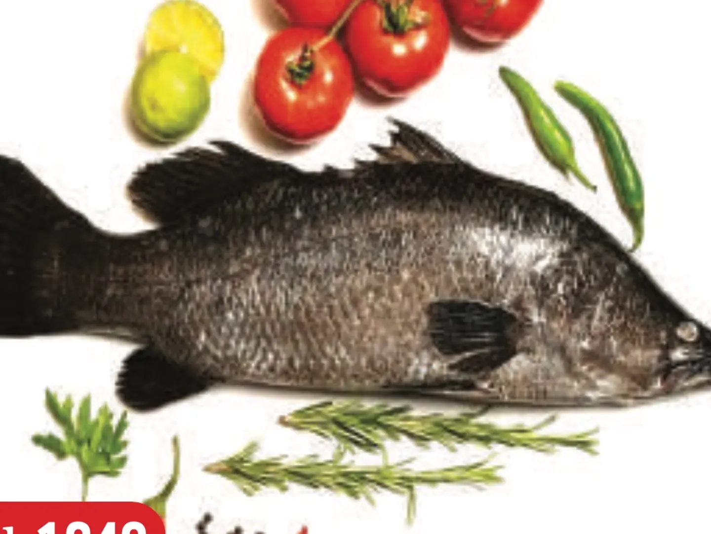 Bass