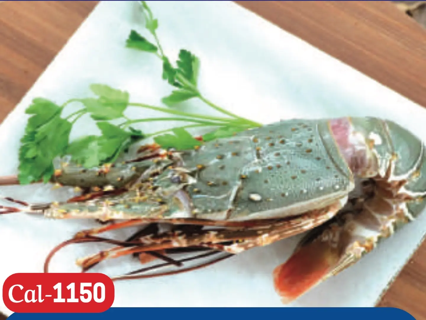 Lobster