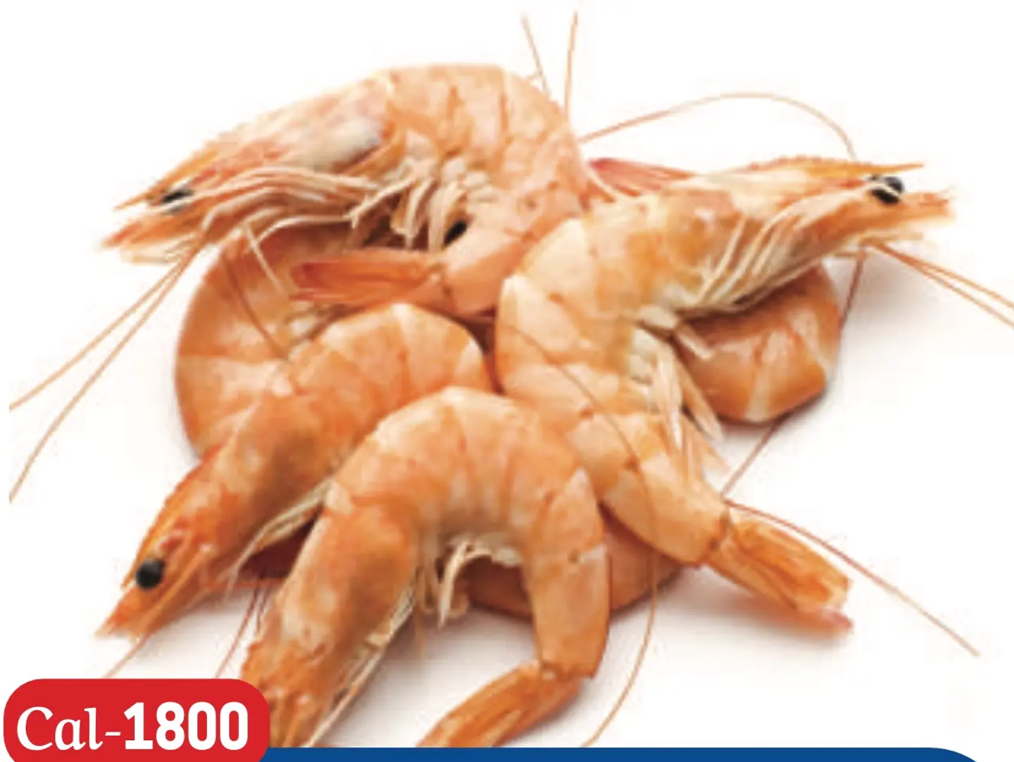 Jumbo Shrimp
